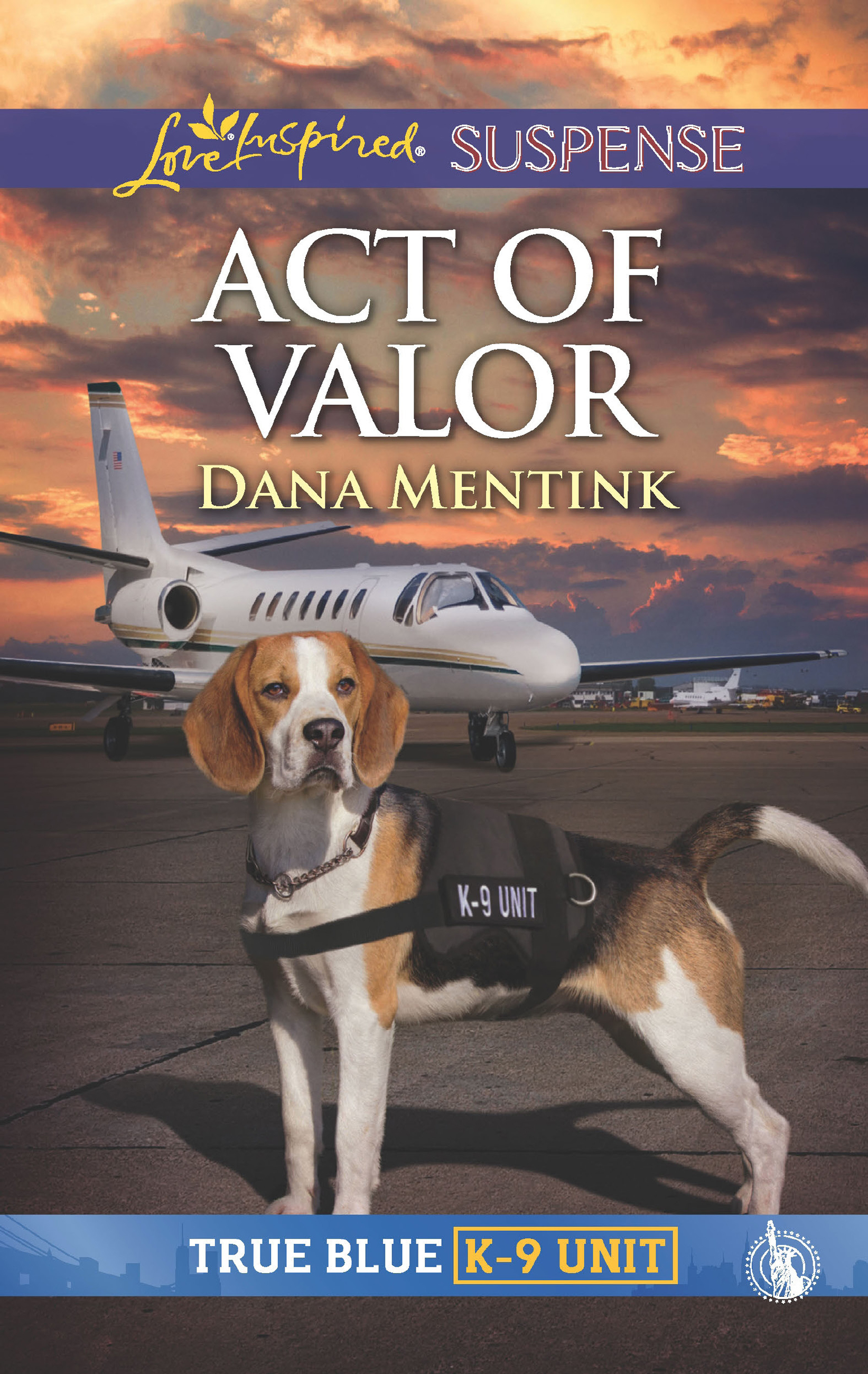 Обложка книги «Act Of Valor»
