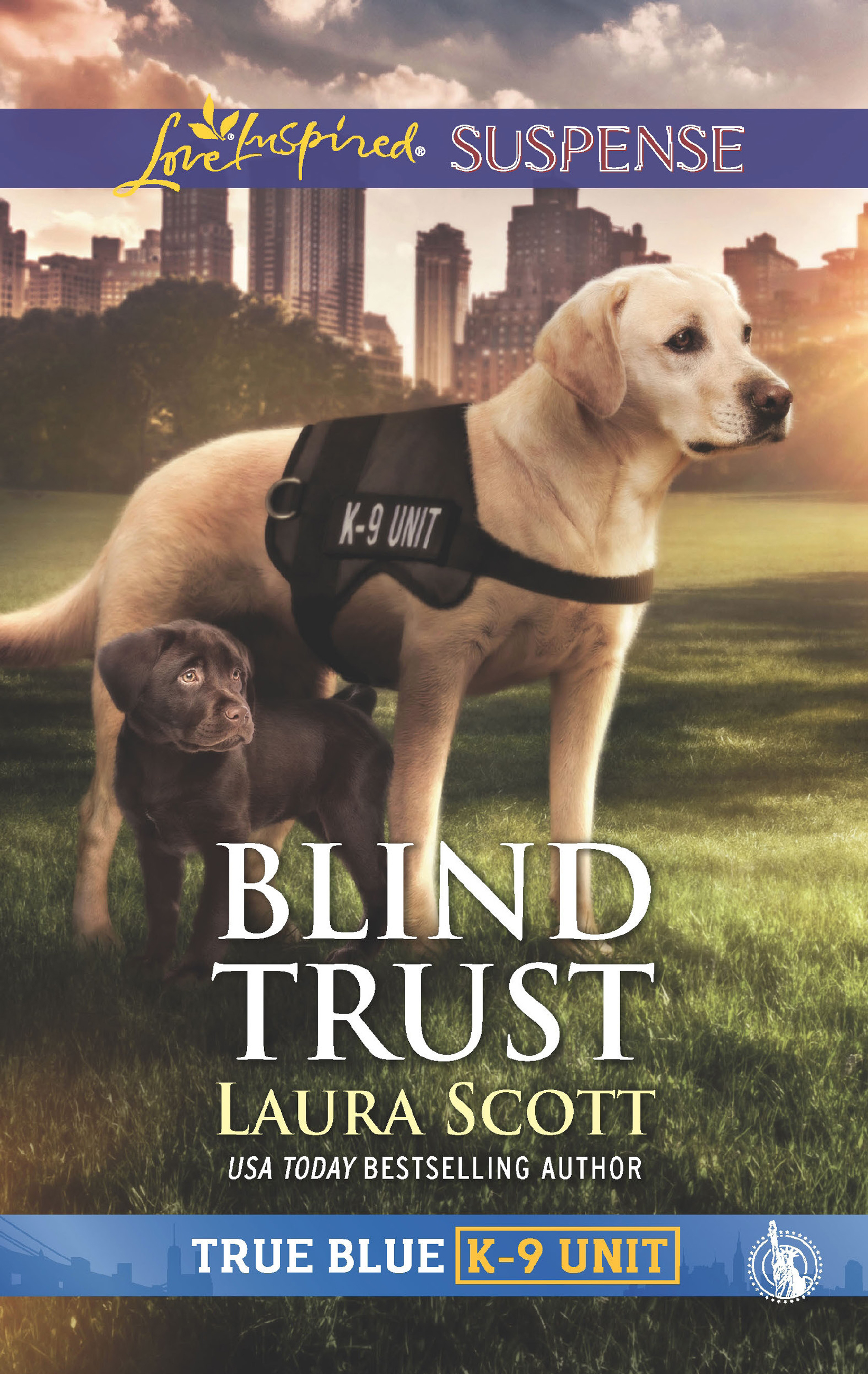 Обложка книги «Blind Trust»