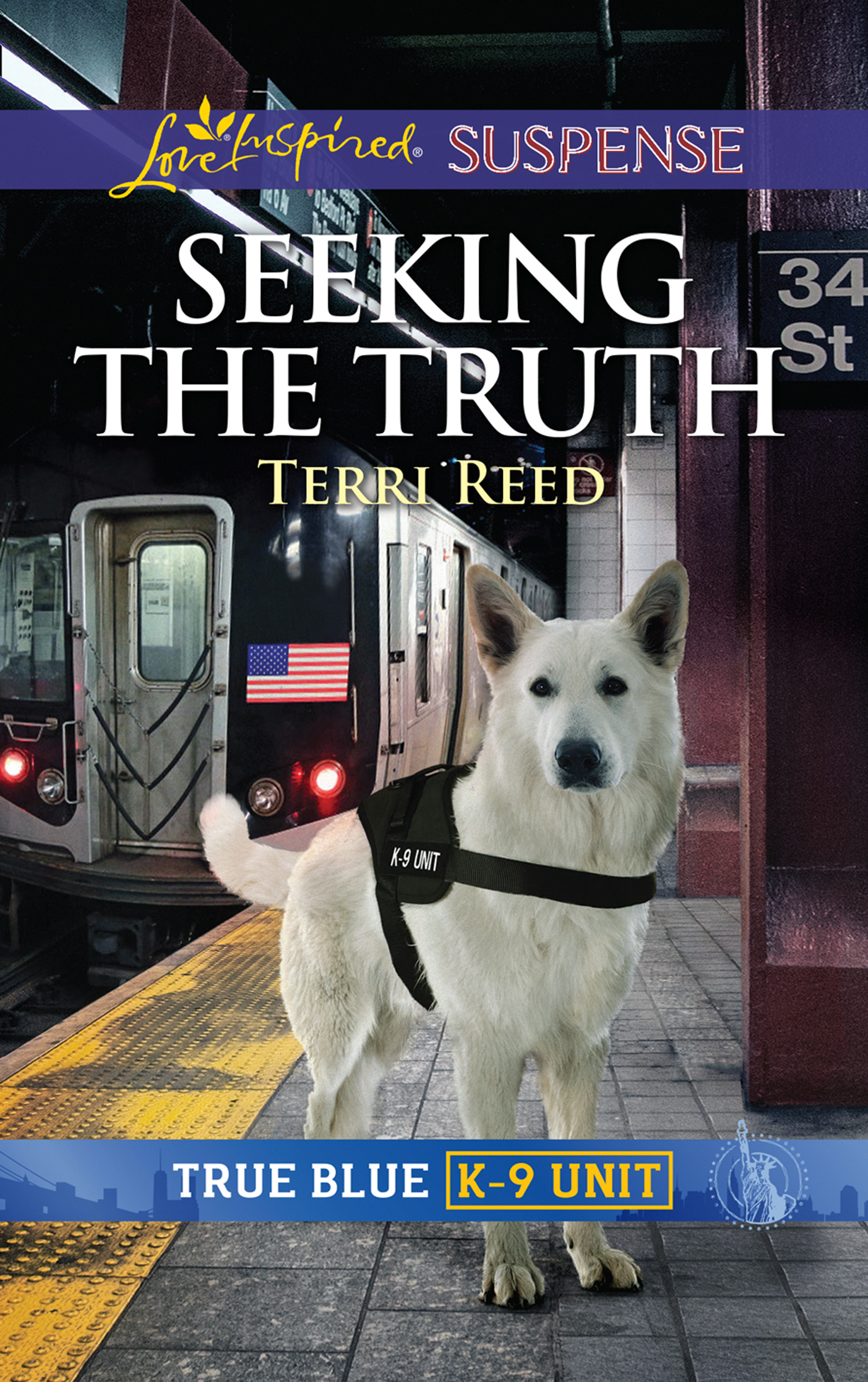 Обложка книги «Seeking The Truth»