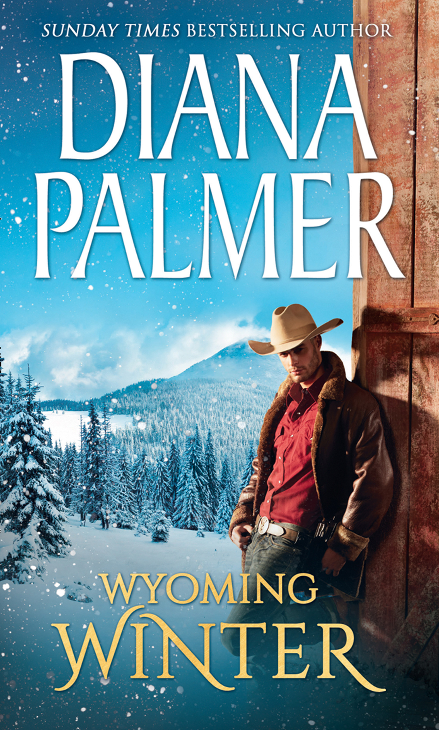 Обложка книги «Wyoming Winter»
