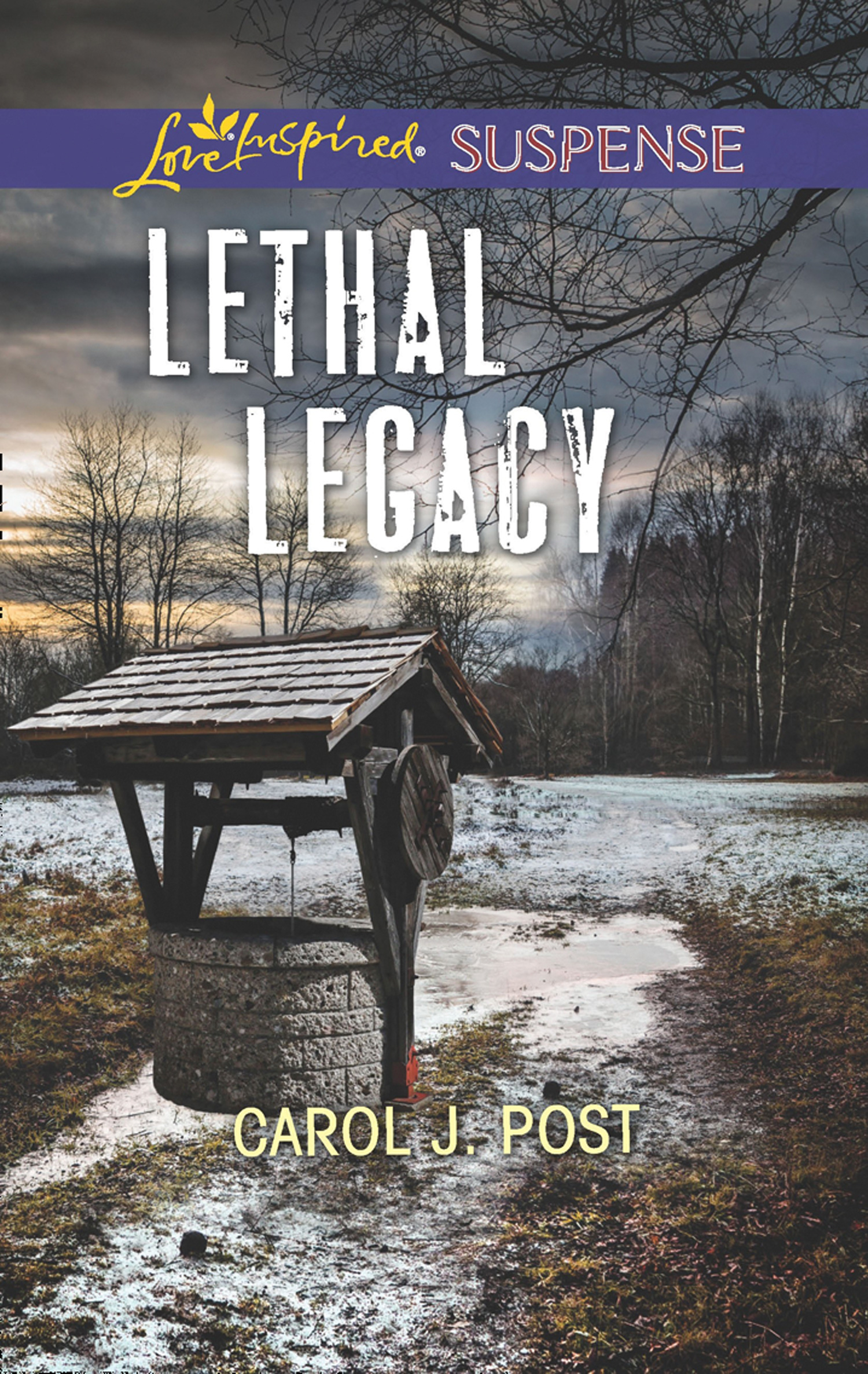 Обложка книги «Lethal Legacy»