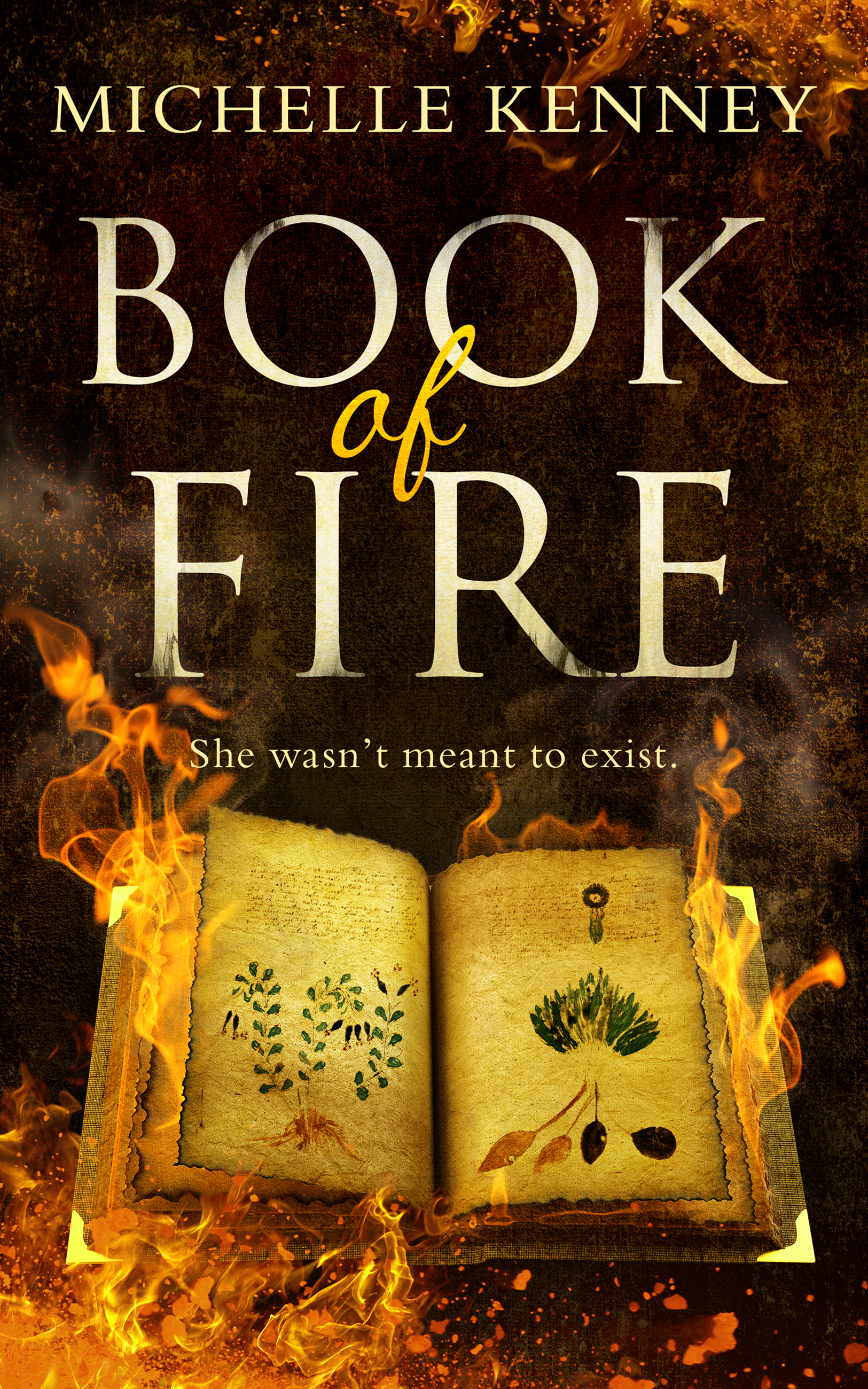 Обложка книги «Book of Fire»