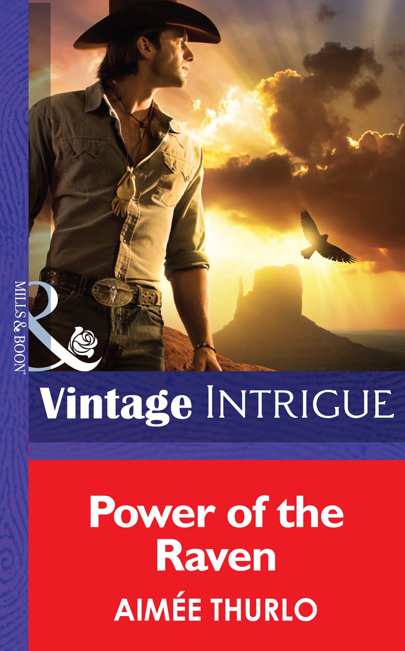 Обложка книги «Power of the Raven»