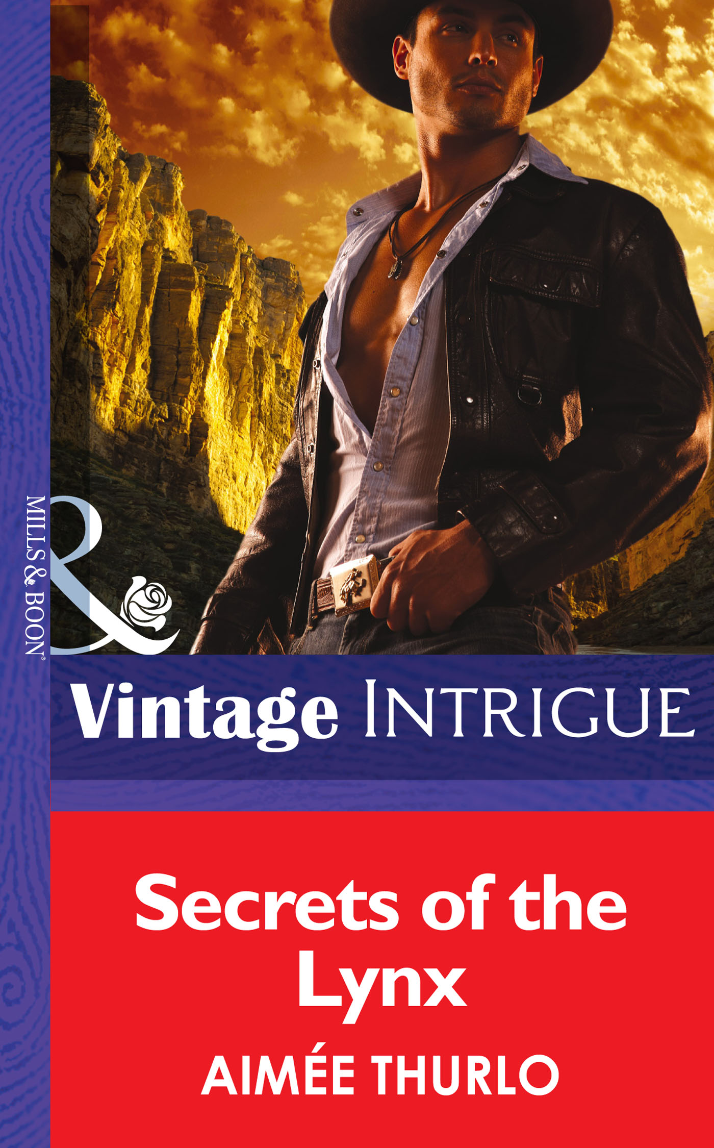 Обложка книги «Secrets of the Lynx»