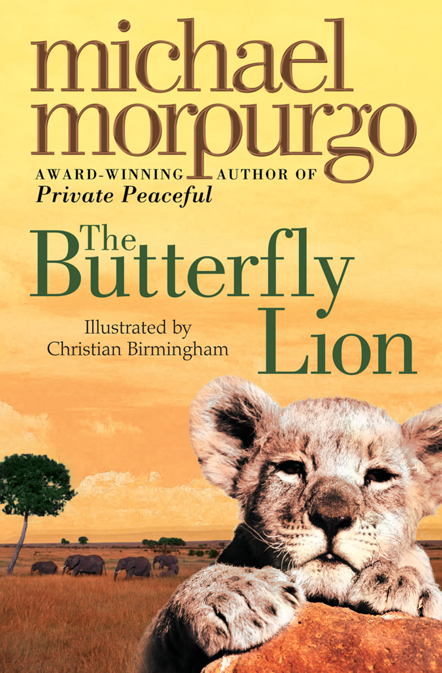 Обложка книги «The Butterfly Lion»