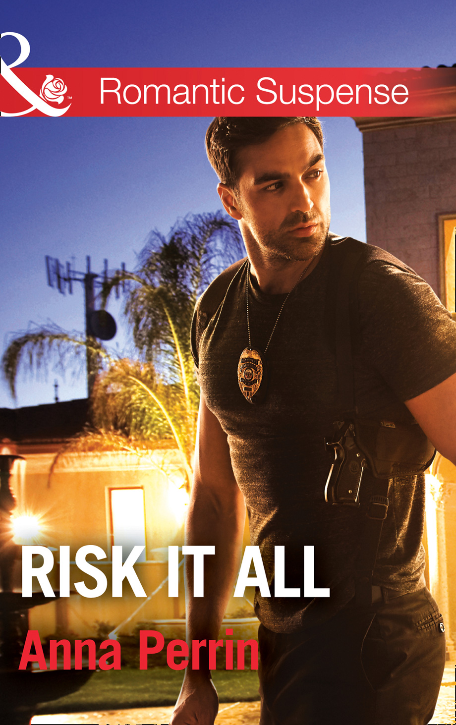 Обложка книги «Risk It All»