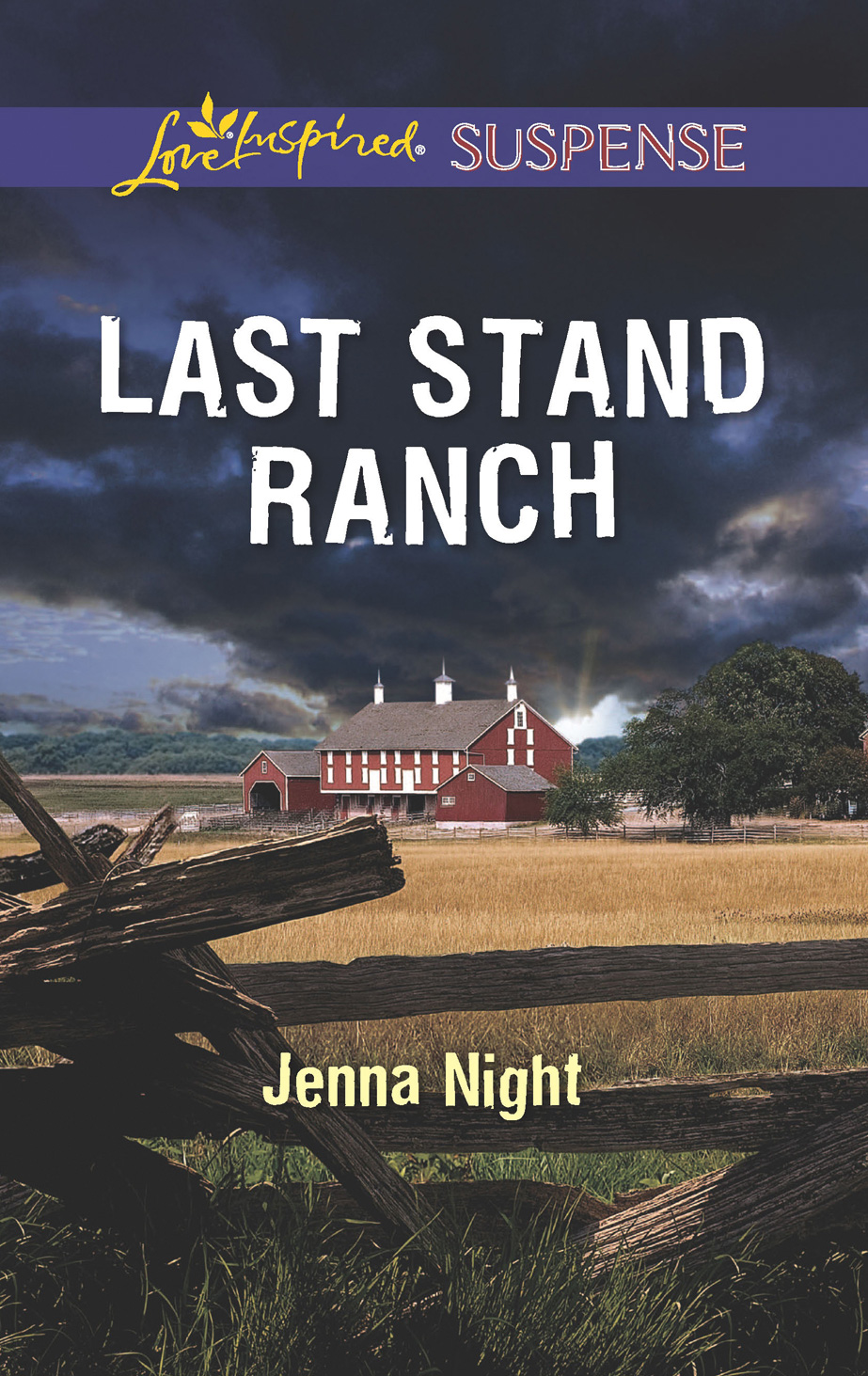 Обложка книги «Last Stand Ranch»