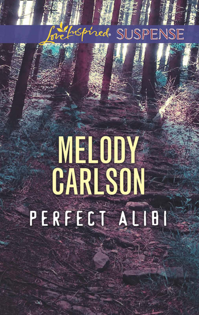 Обложка книги «Perfect Alibi»