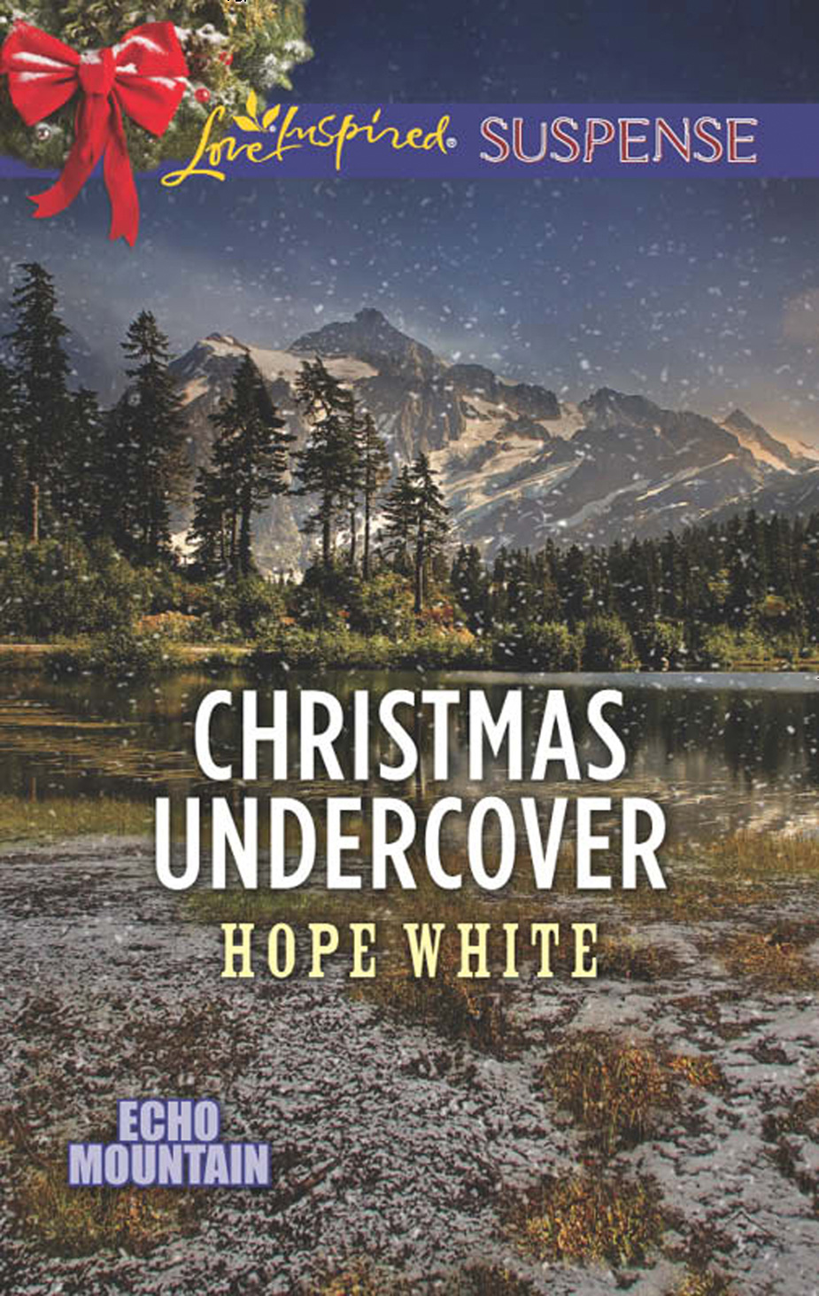 Обложка книги «Christmas Undercover»