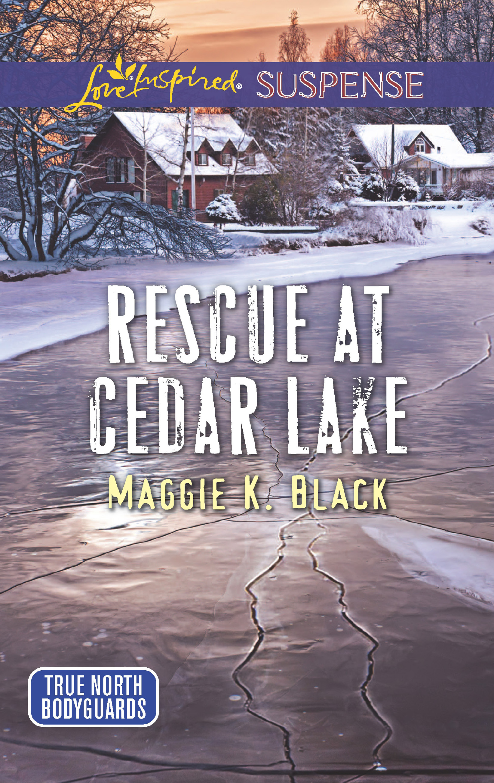 Обложка книги «Rescue At Cedar Lake»