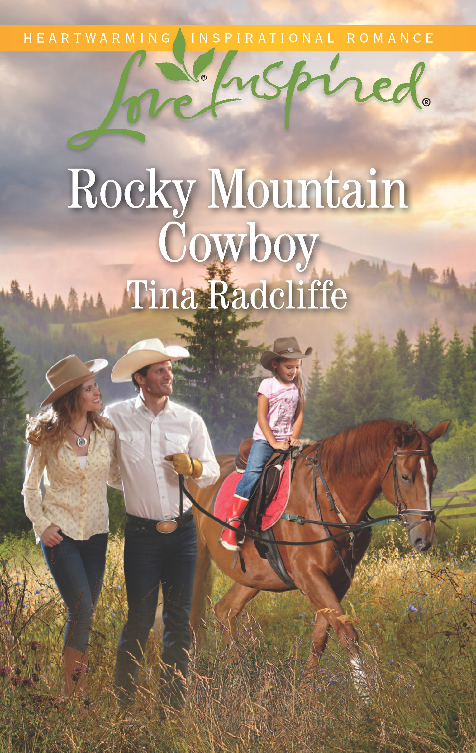 Обложка книги «Rocky Mountain Cowboy»