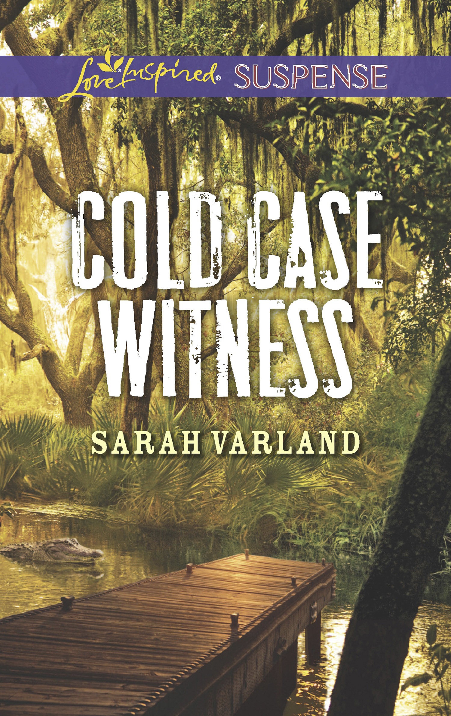 Обложка книги «Cold Case Witness»