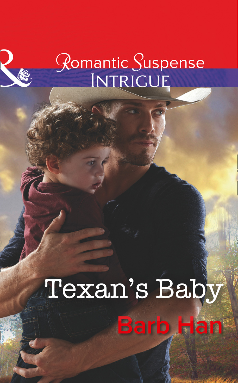 Обложка книги «Texan's Baby»