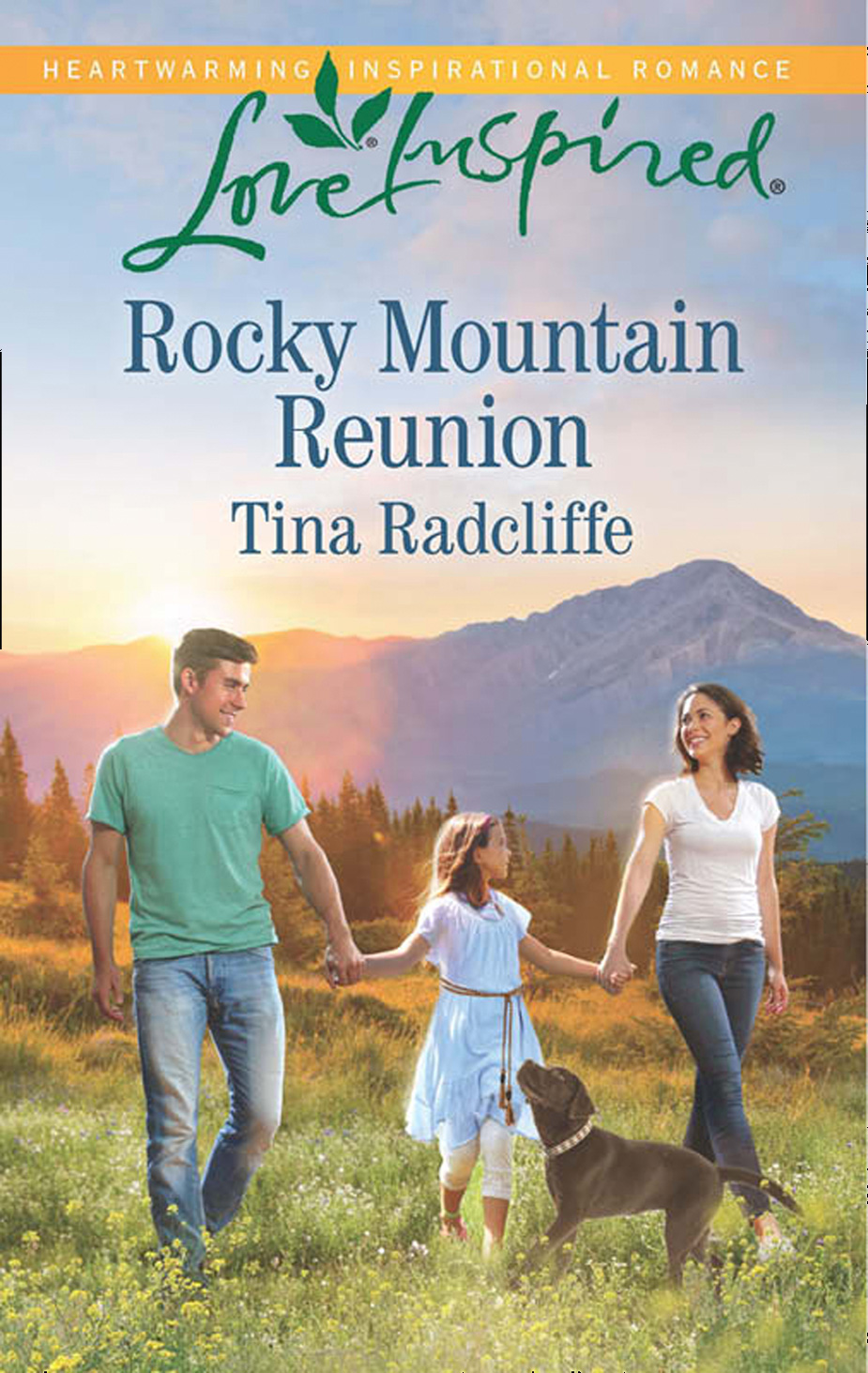 Обложка книги «Rocky Mountain Reunion»