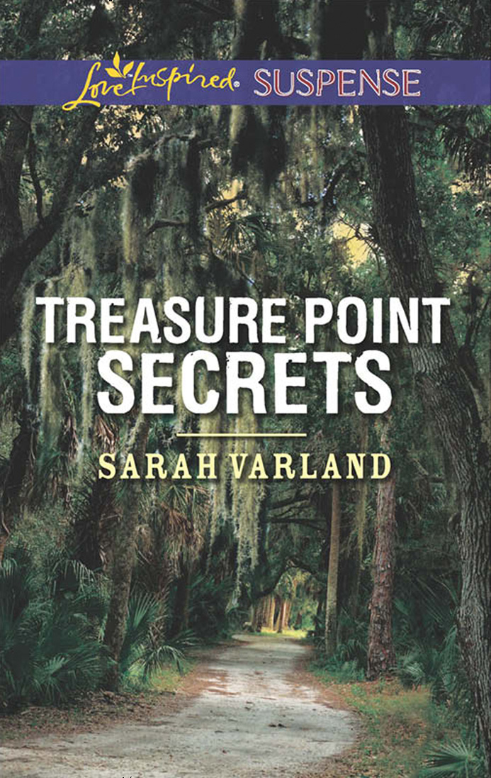 Обложка книги «Treasure Point Secrets»