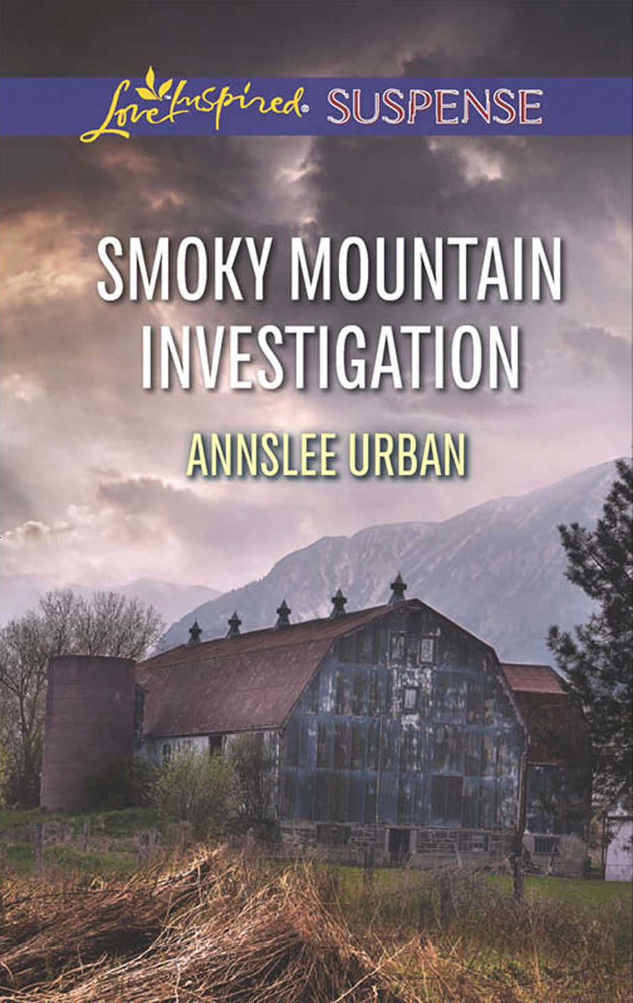 Обложка книги «Smoky Mountain Investigation»