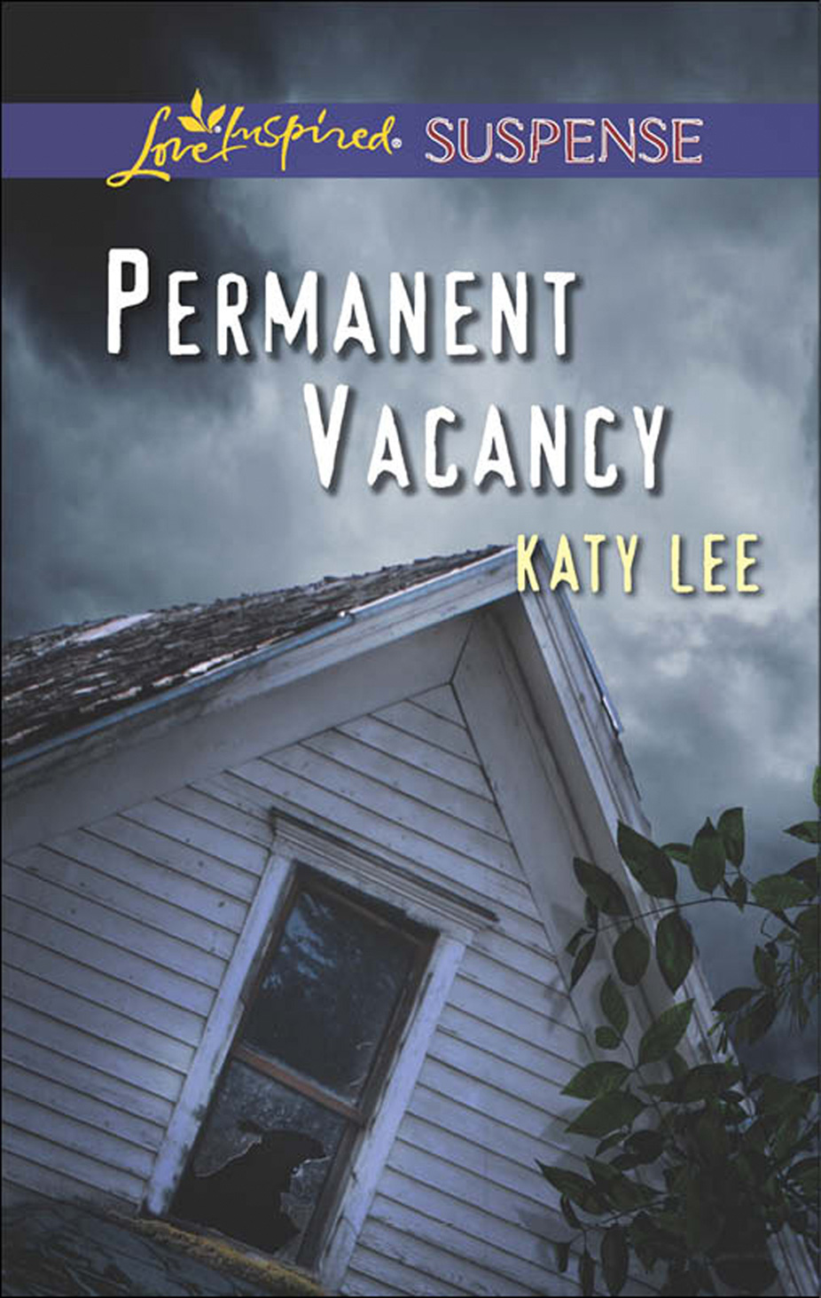 Обложка книги «Permanent Vacancy»