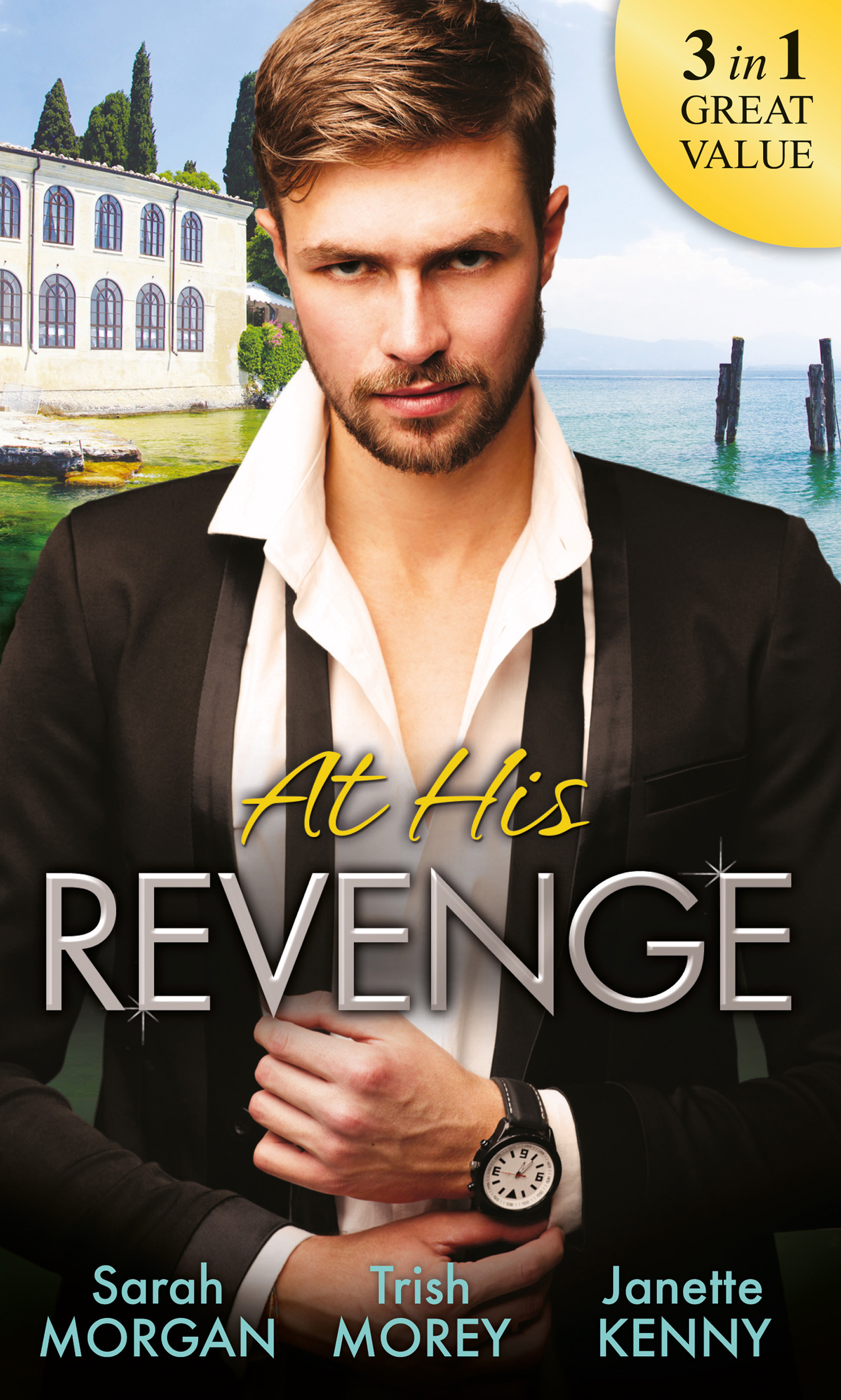 Обложка книги «At His Revenge»