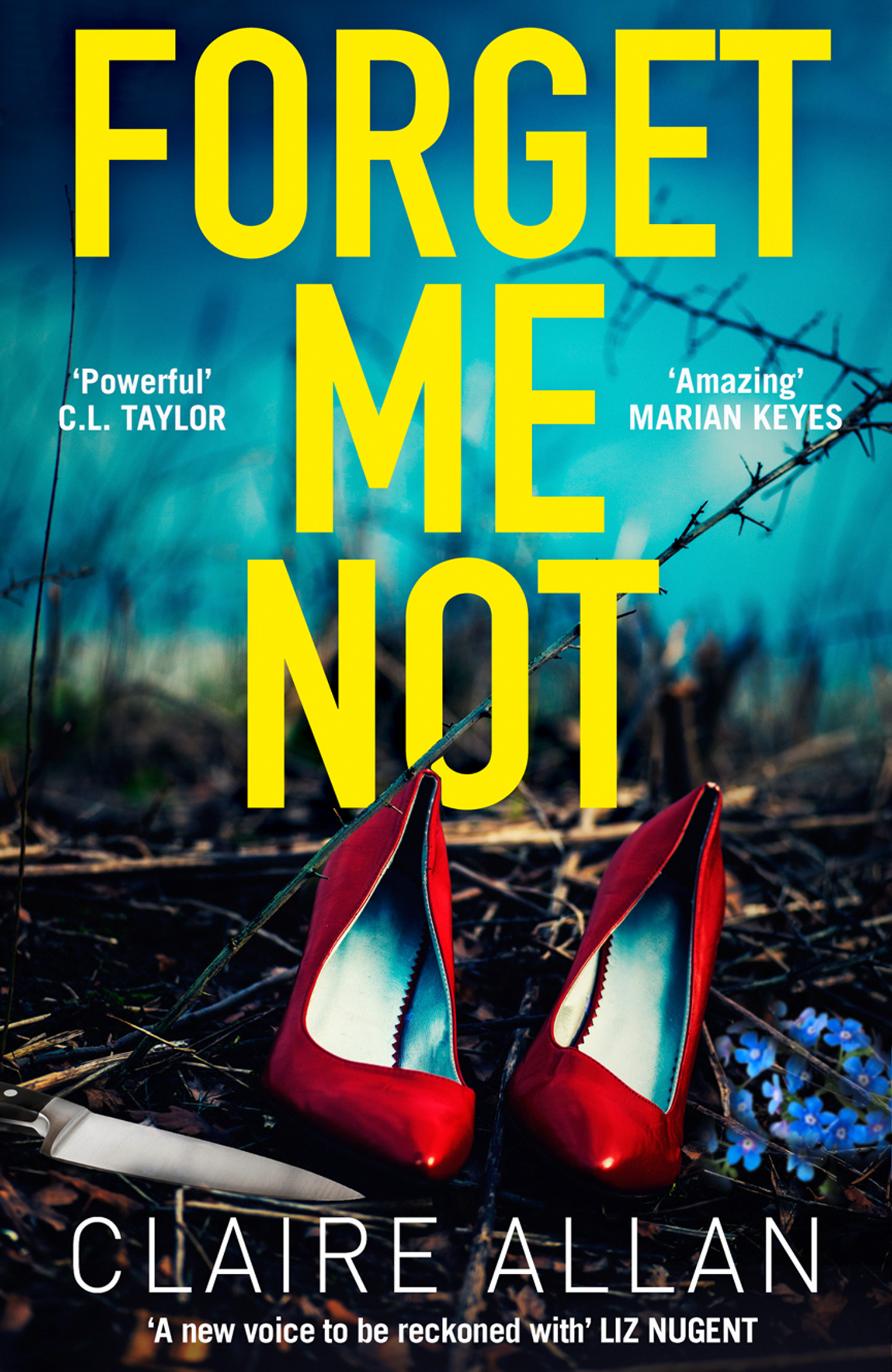 Обложка книги «Forget Me Not»