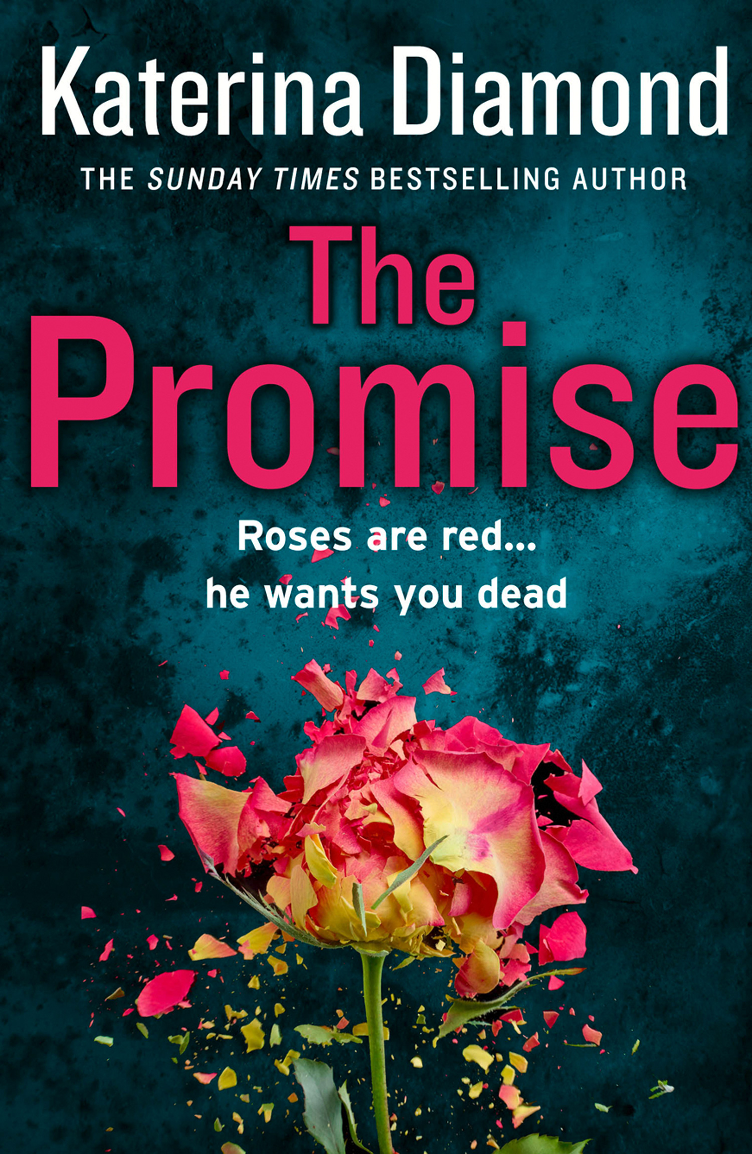 Обложка книги «The Promise»