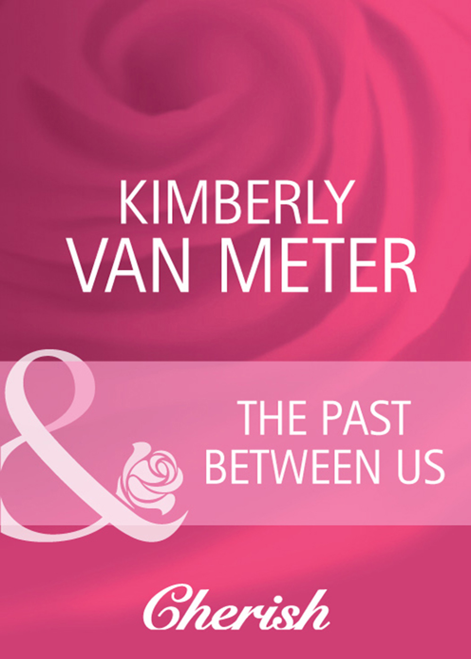 Обложка книги «The Past Between Us»