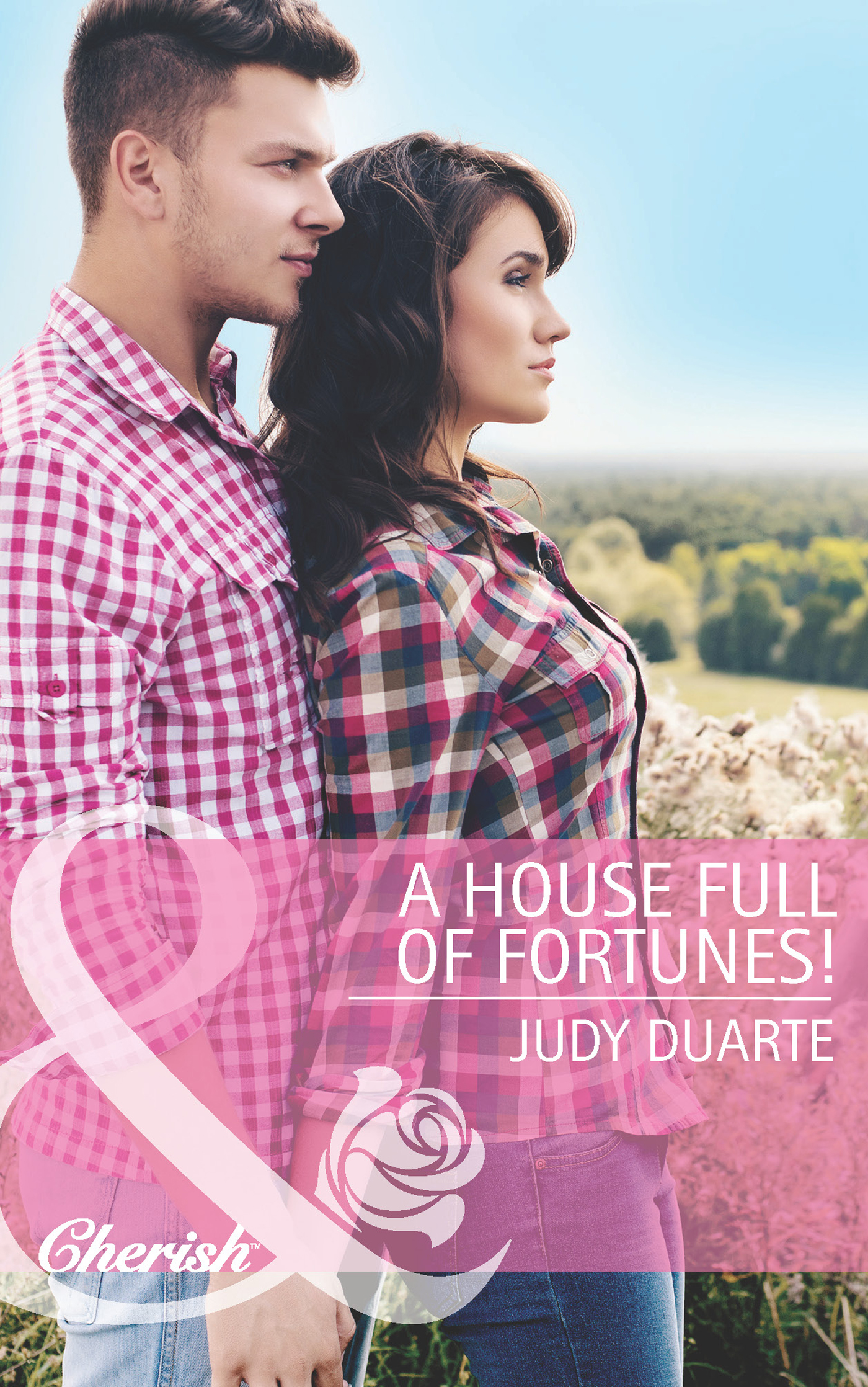 Обложка книги «A House Full of Fortunes!»