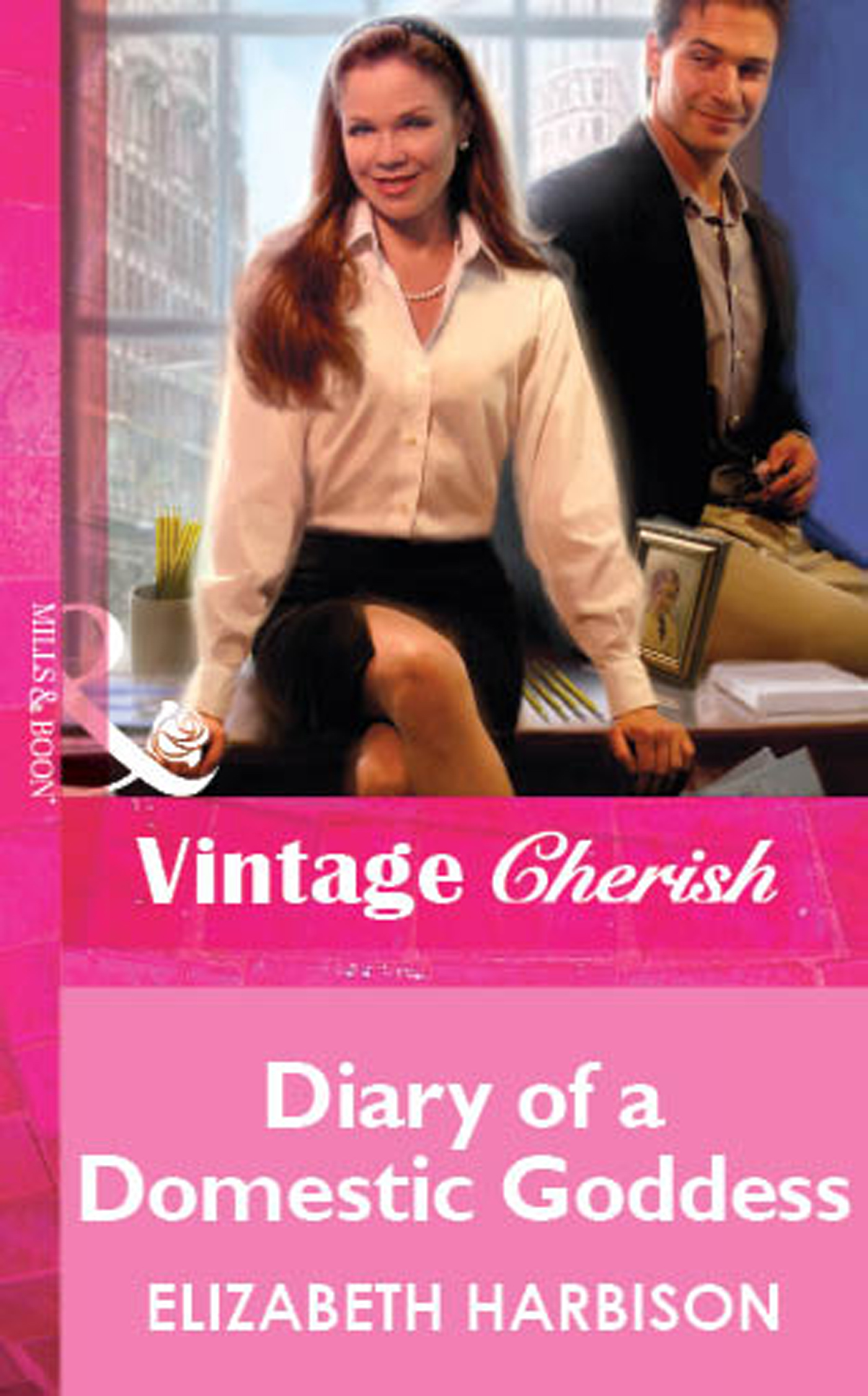 Обложка книги «Diary of a Domestic Goddess»