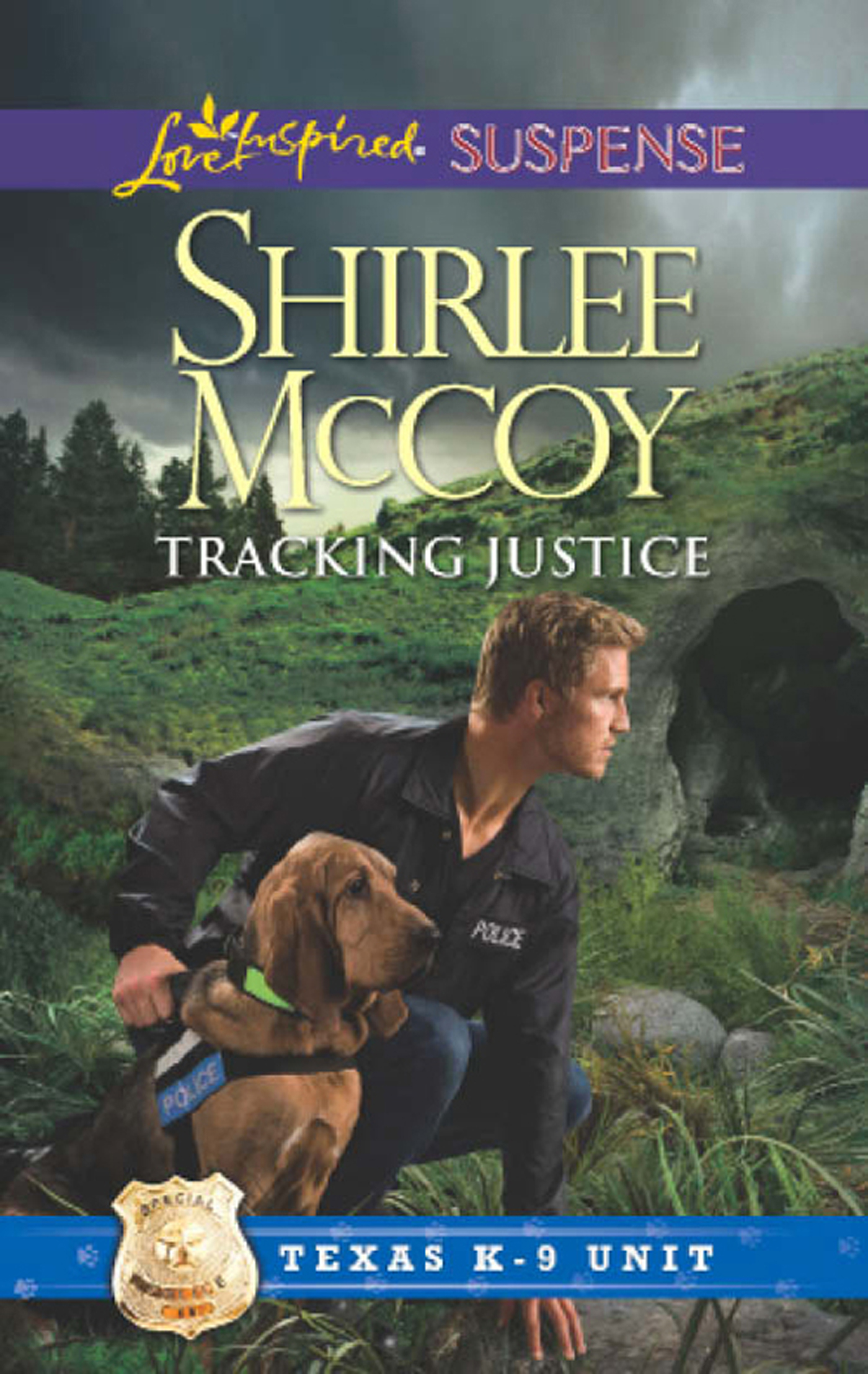 Обложка книги «Tracking Justice»