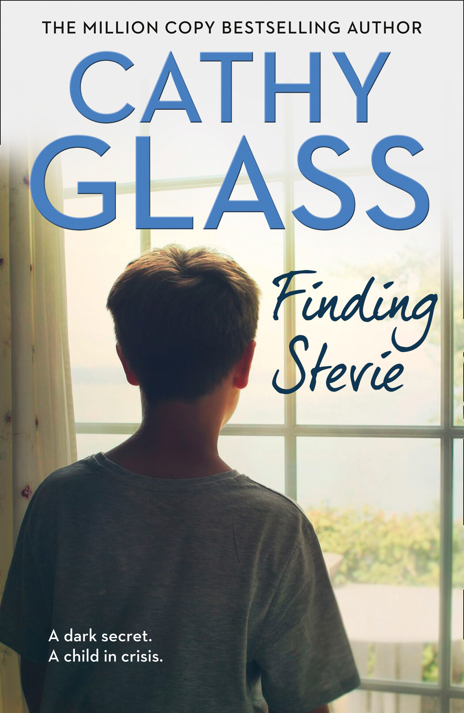 Обложка книги «Finding Stevie»