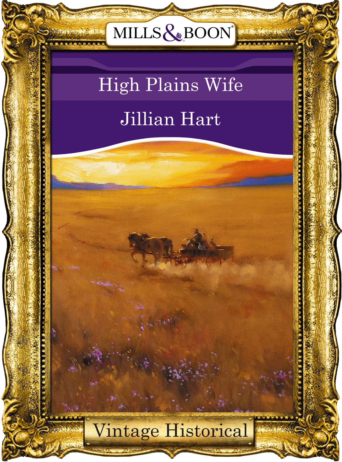 Обложка книги «High Plains Wife»