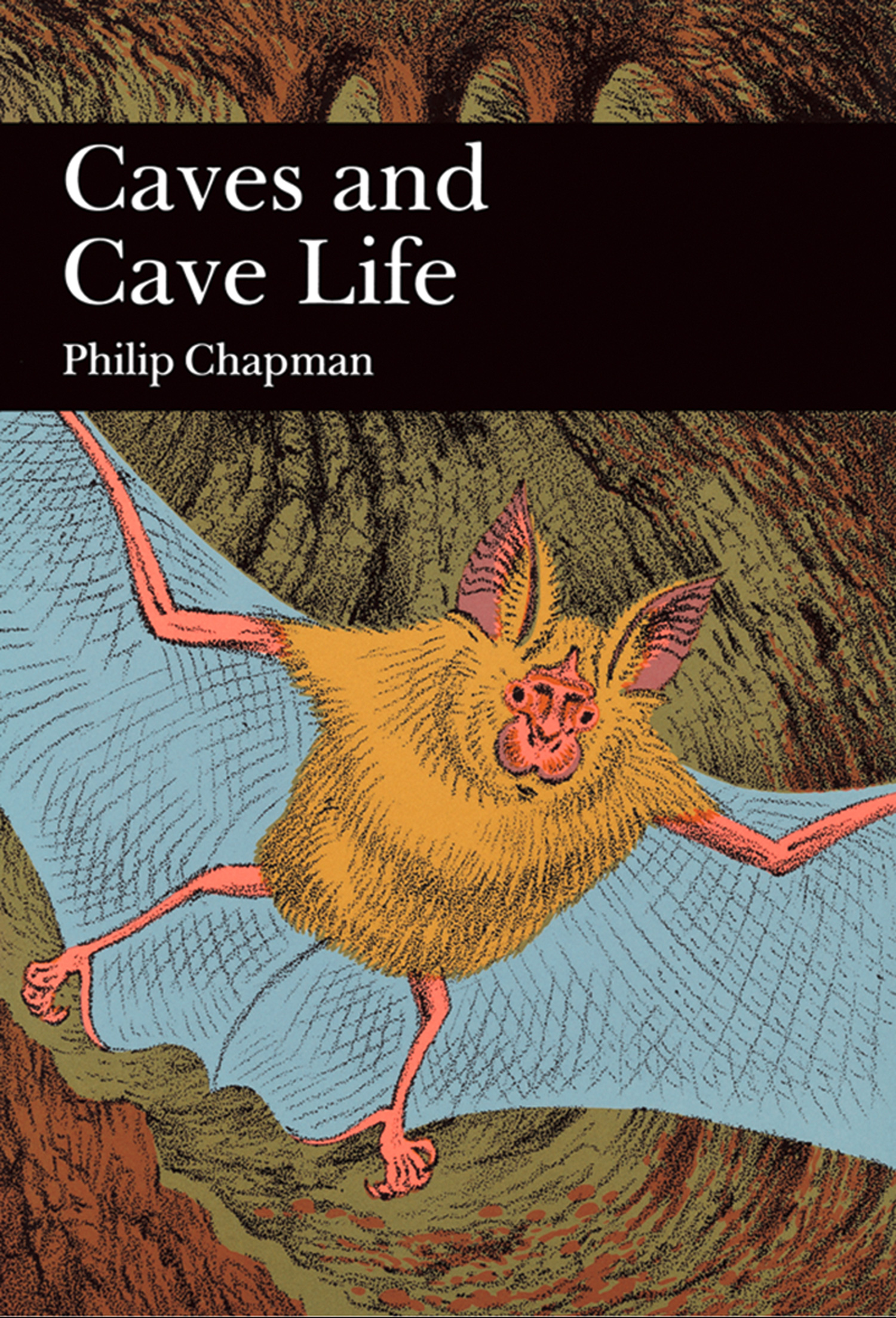 Обложка книги «Caves and Cave Life»