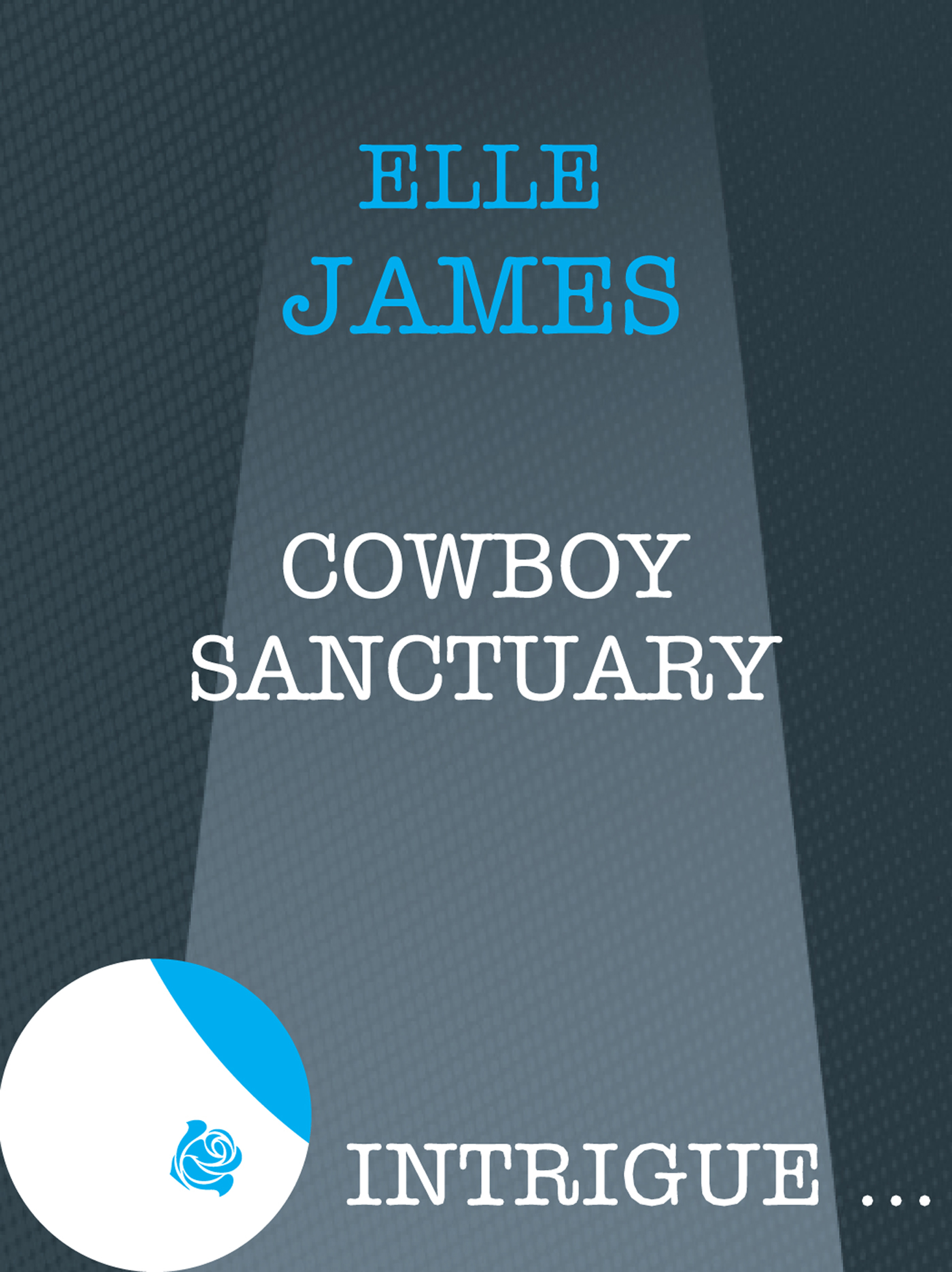 Обложка книги «Cowboy Sanctuary»