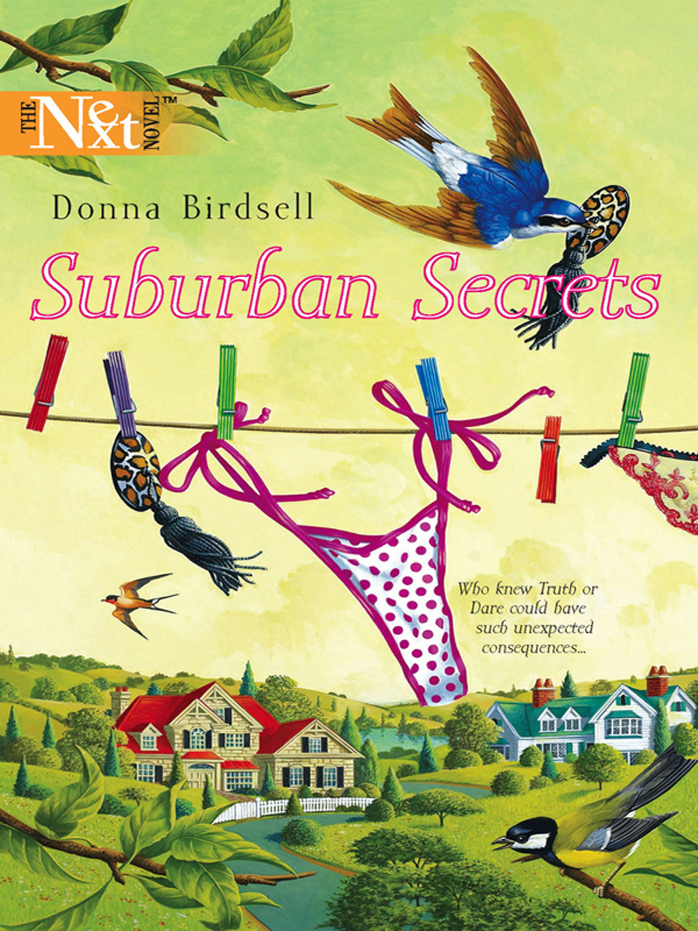 Обложка книги «Suburban Secrets»