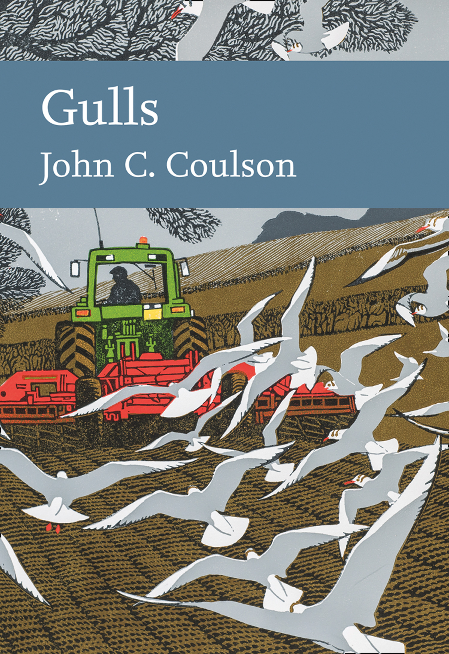 Обложка книги «Gulls»