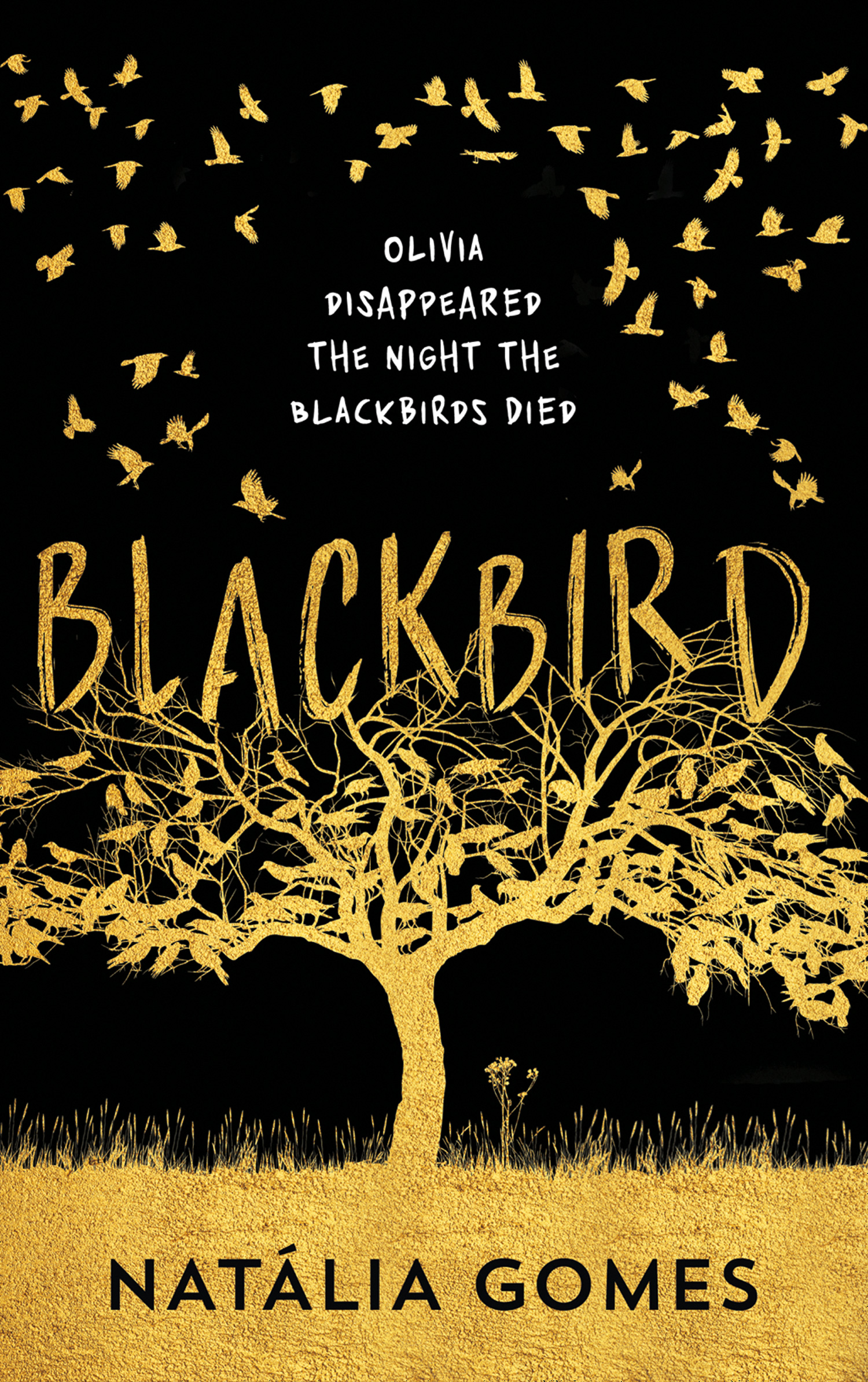 Обложка книги «Blackbird»