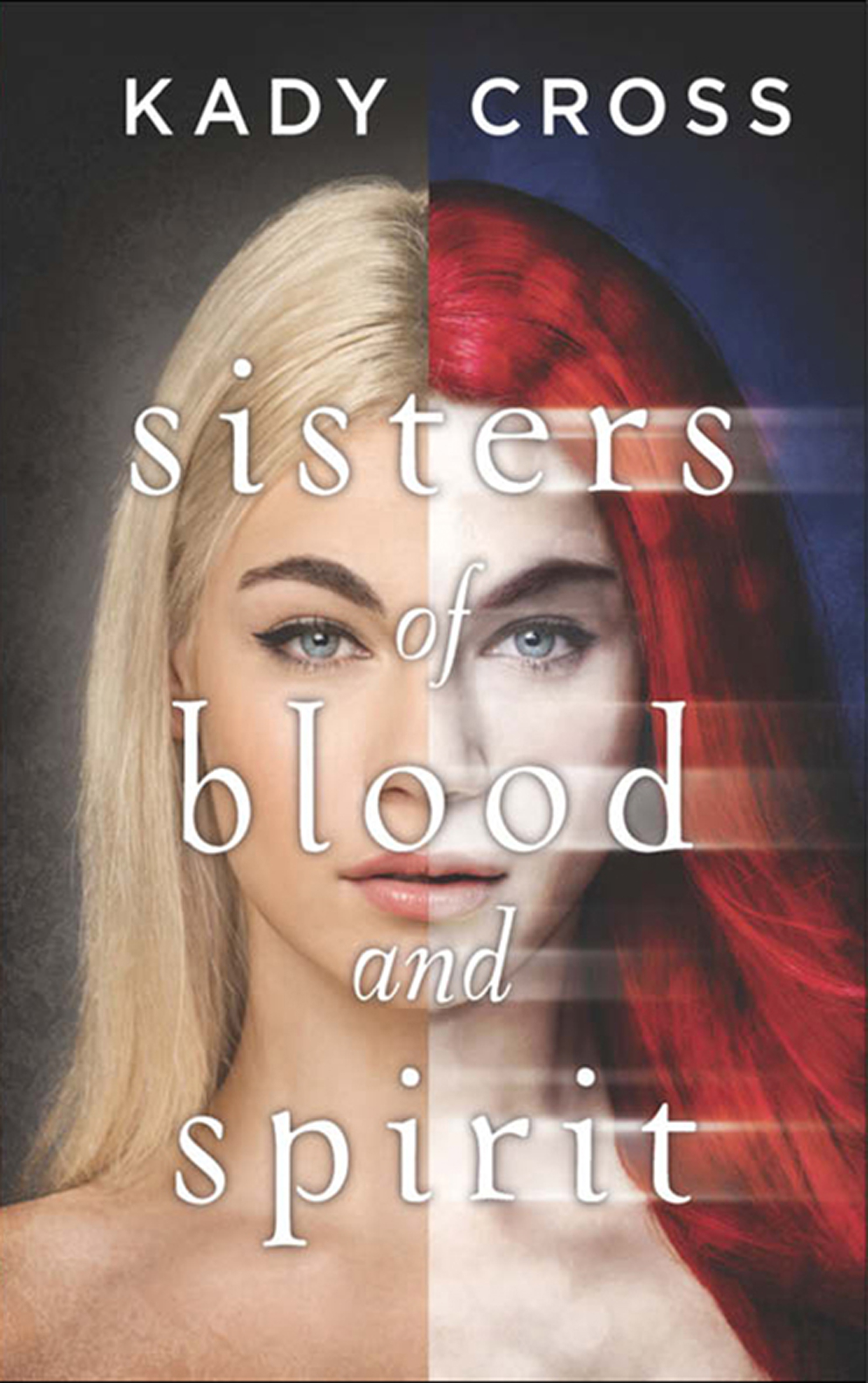 Обложка книги «Sisters of Blood and Spirit»