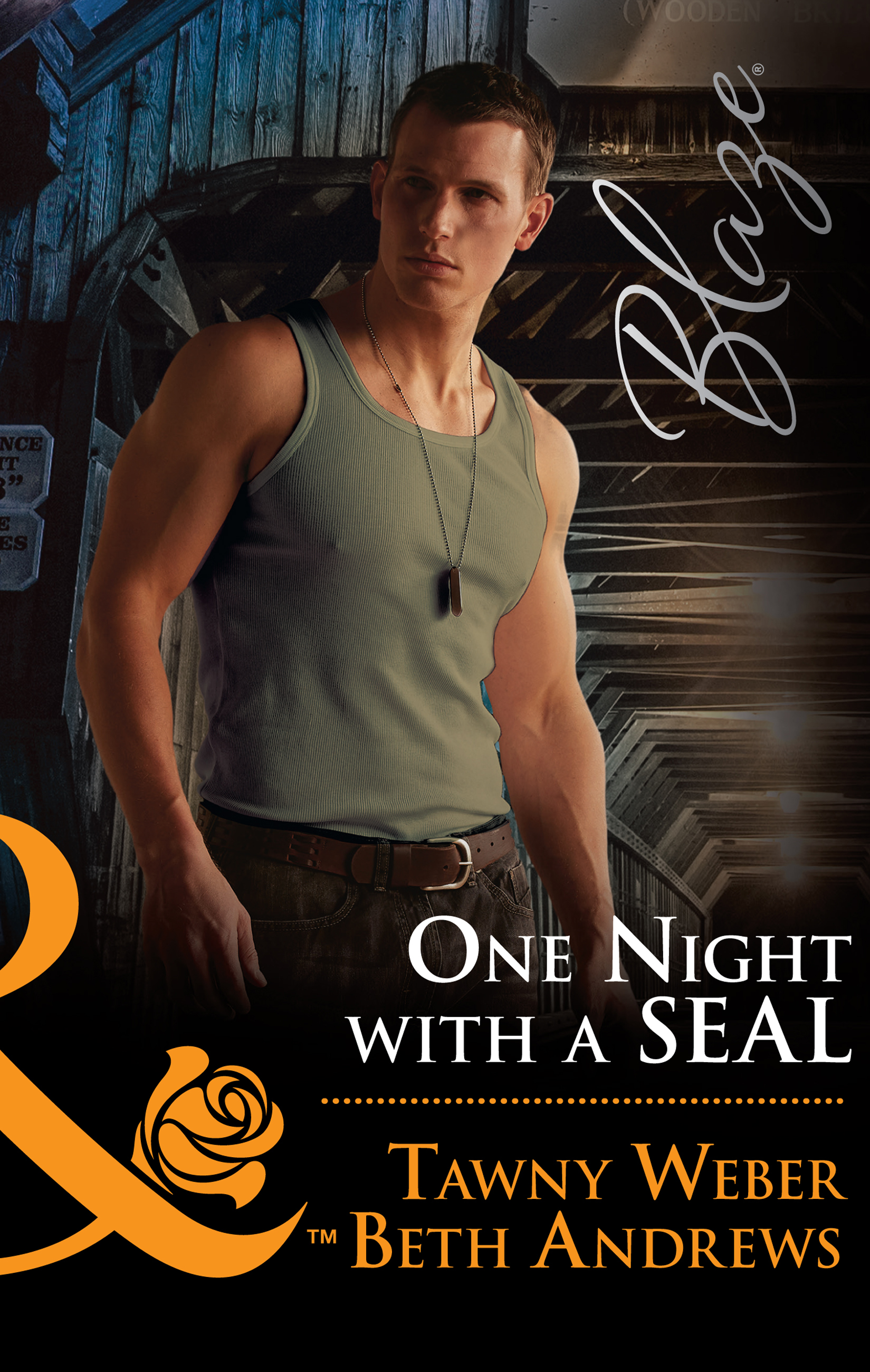 Обложка книги «One Night With A Seal»