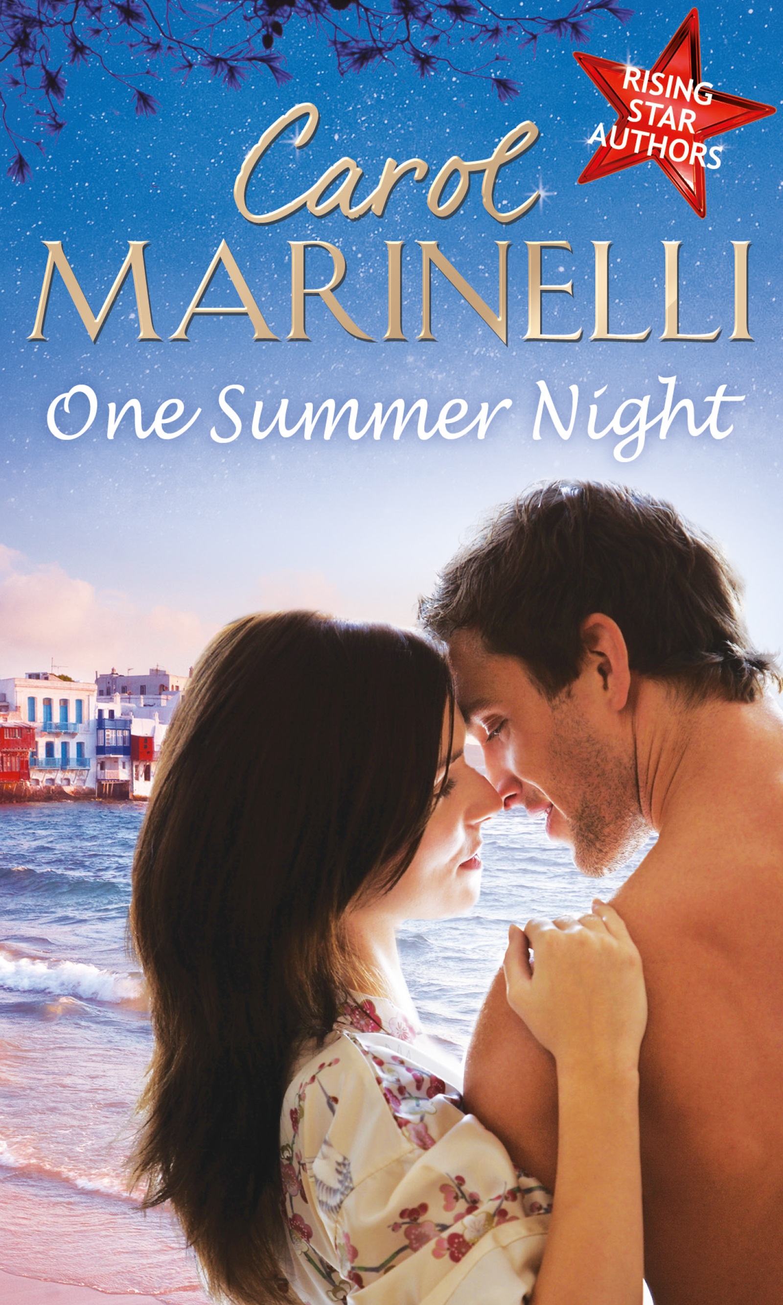 Обложка книги «One Summer Night»