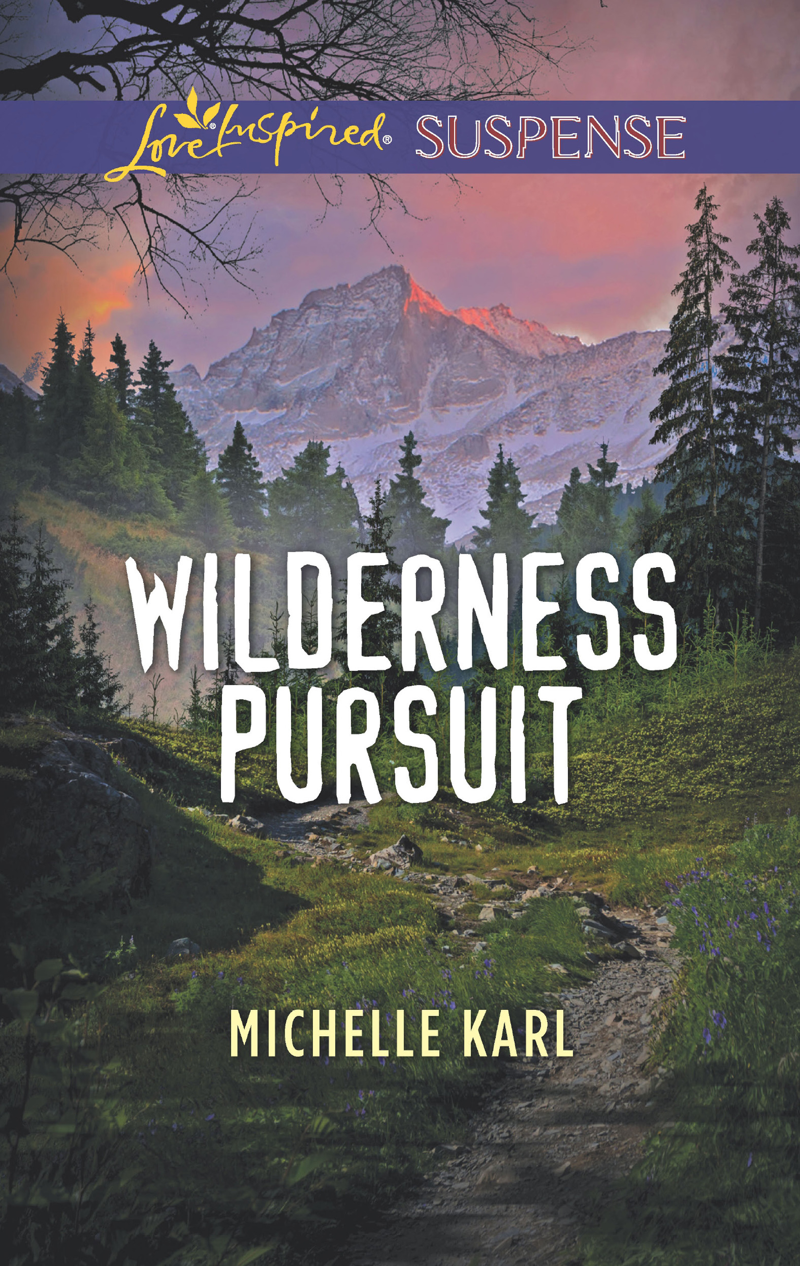 Обложка книги «Wilderness Pursuit»