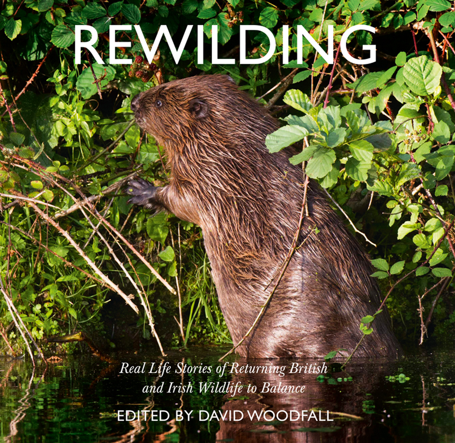 Обложка книги «Rewilding»