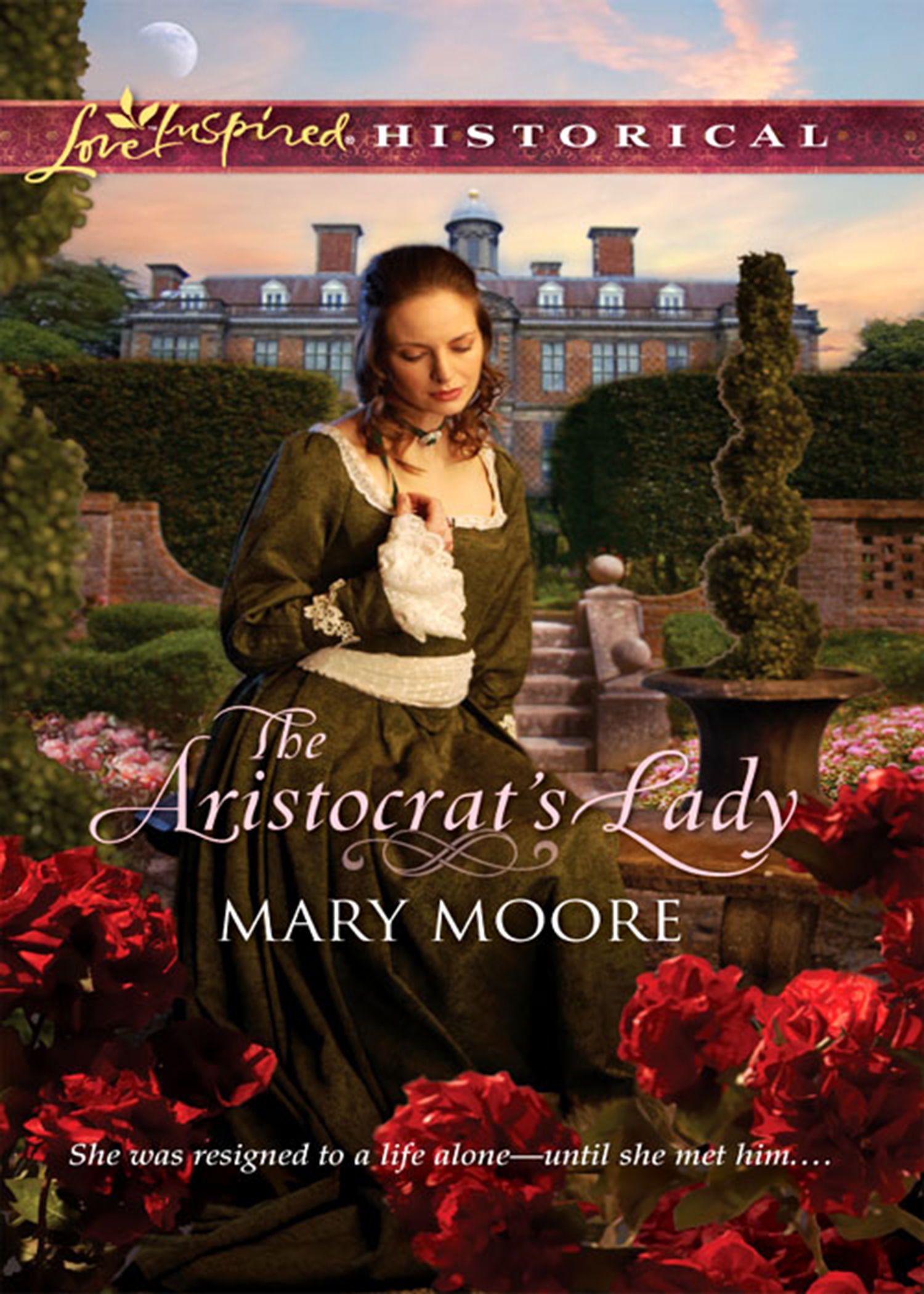 Обложка книги «The Aristocrat's Lady»