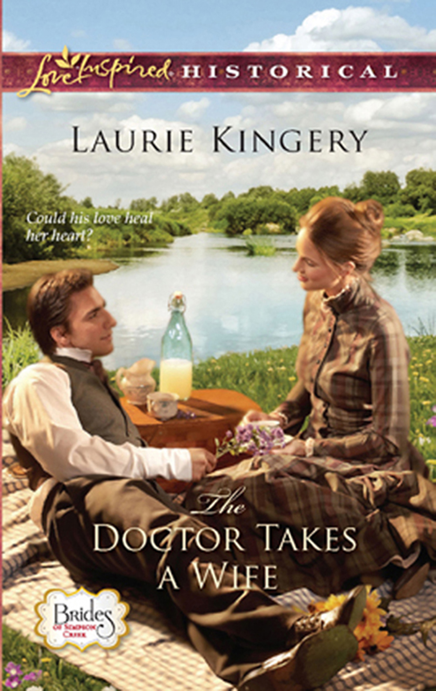 Обложка книги «The Doctor Takes a Wife»
