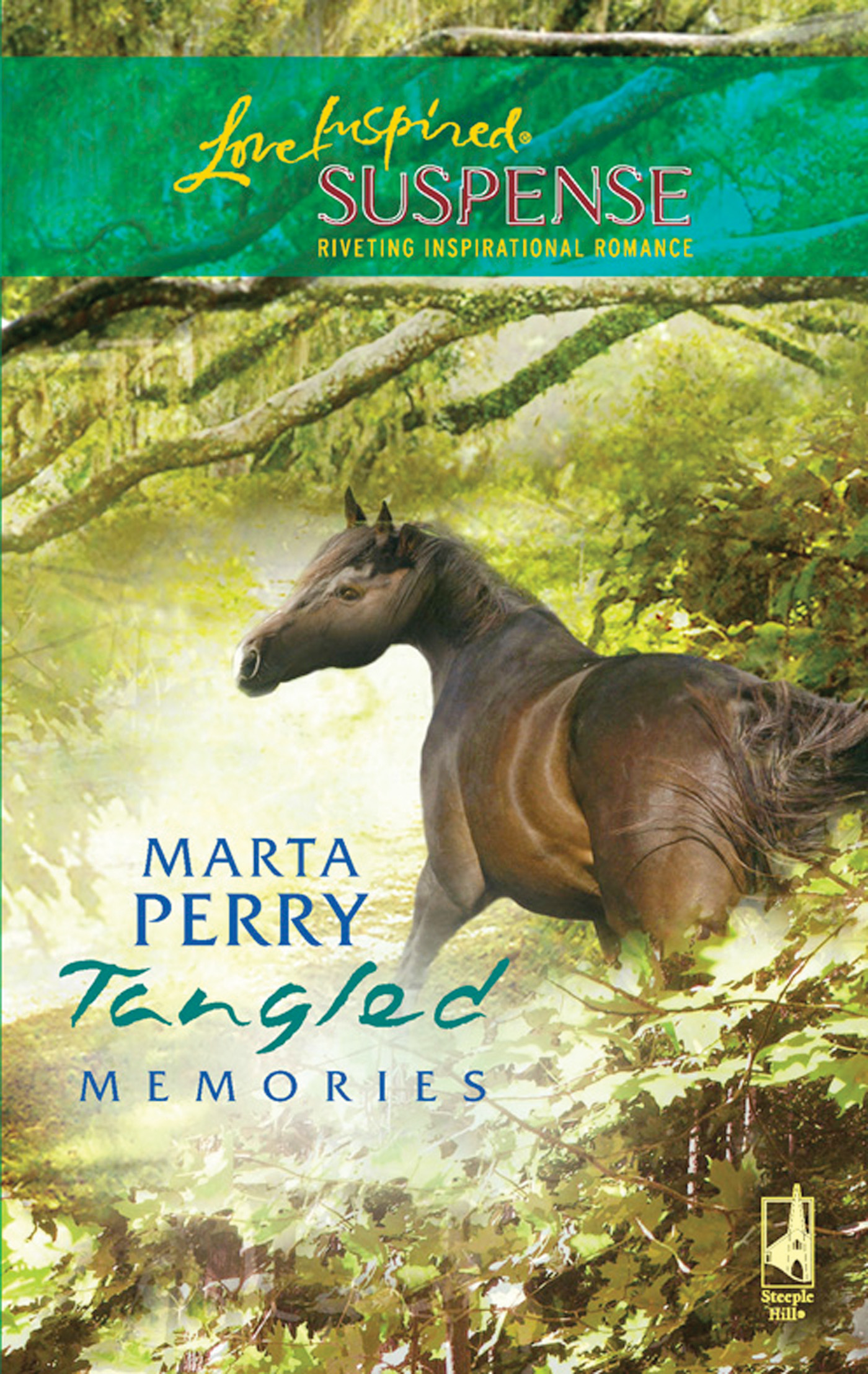 Обложка книги «Tangled Memories»