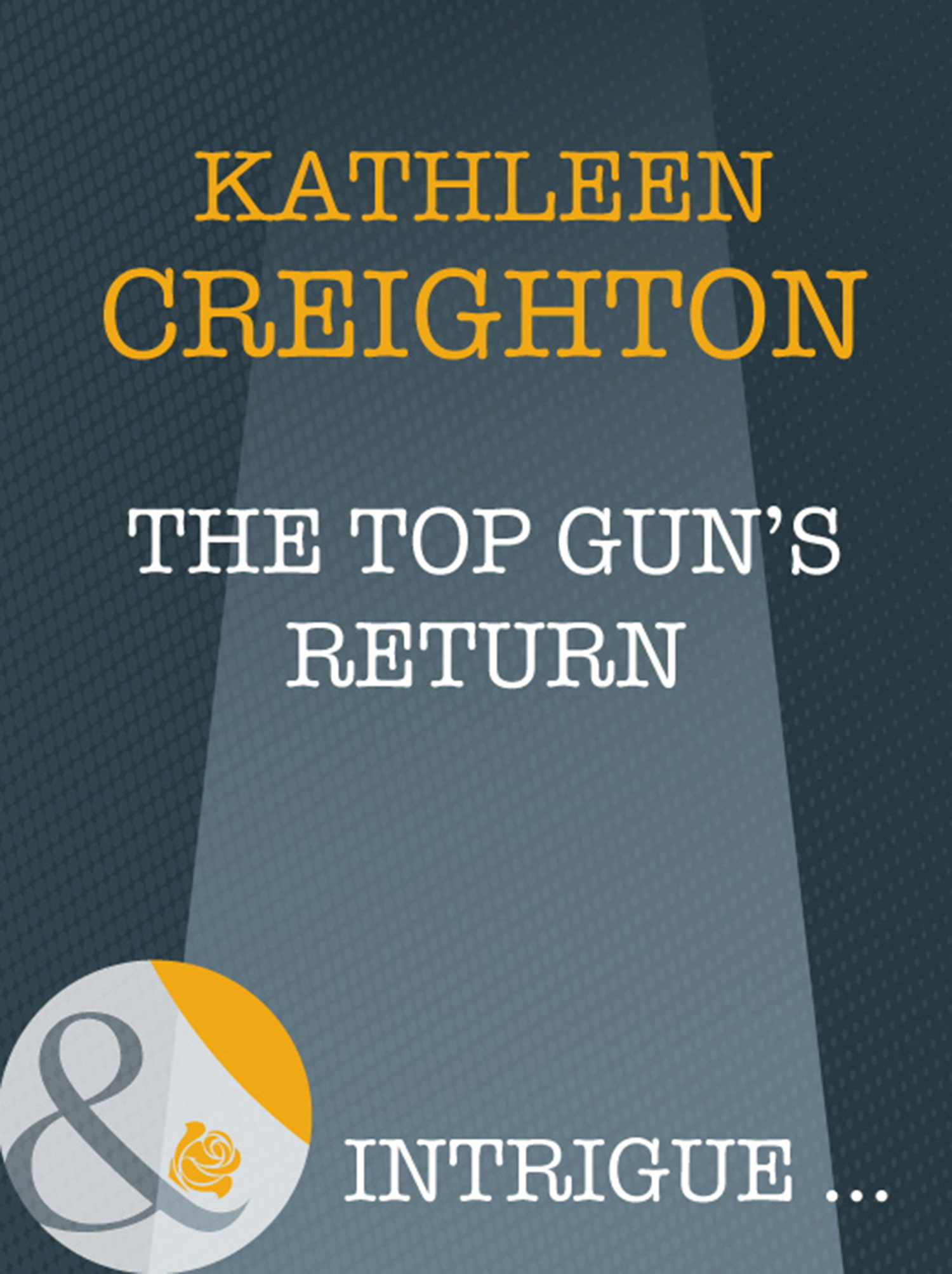 Обложка книги «The Top Gun's Return»