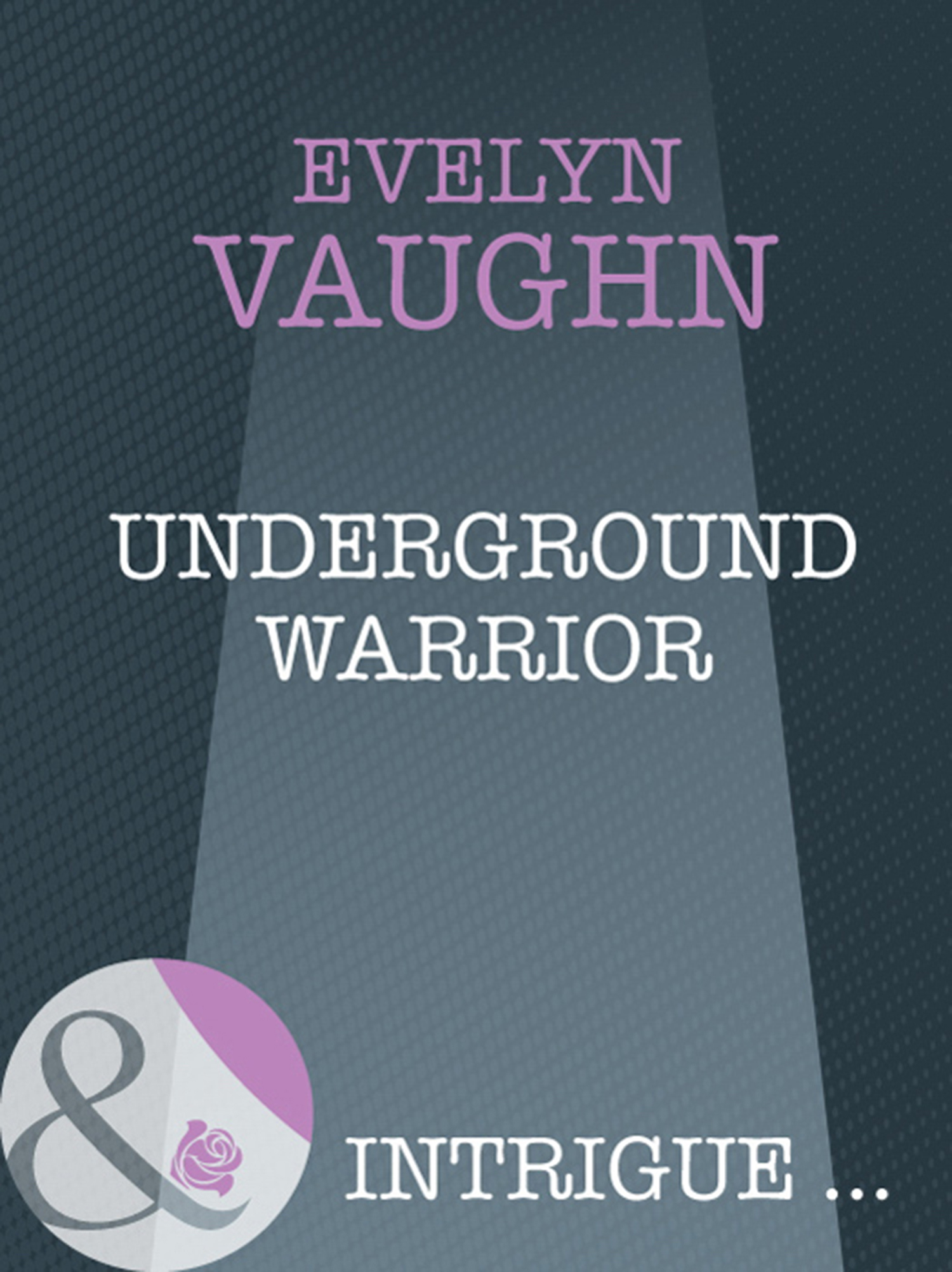 Обложка книги «Underground Warrior»