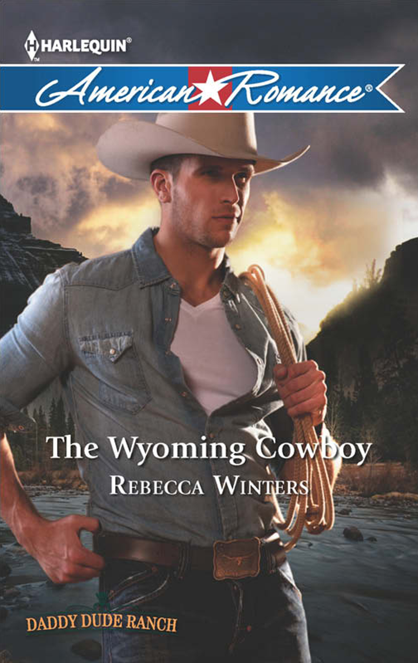 Обложка книги «The Wyoming Cowboy»