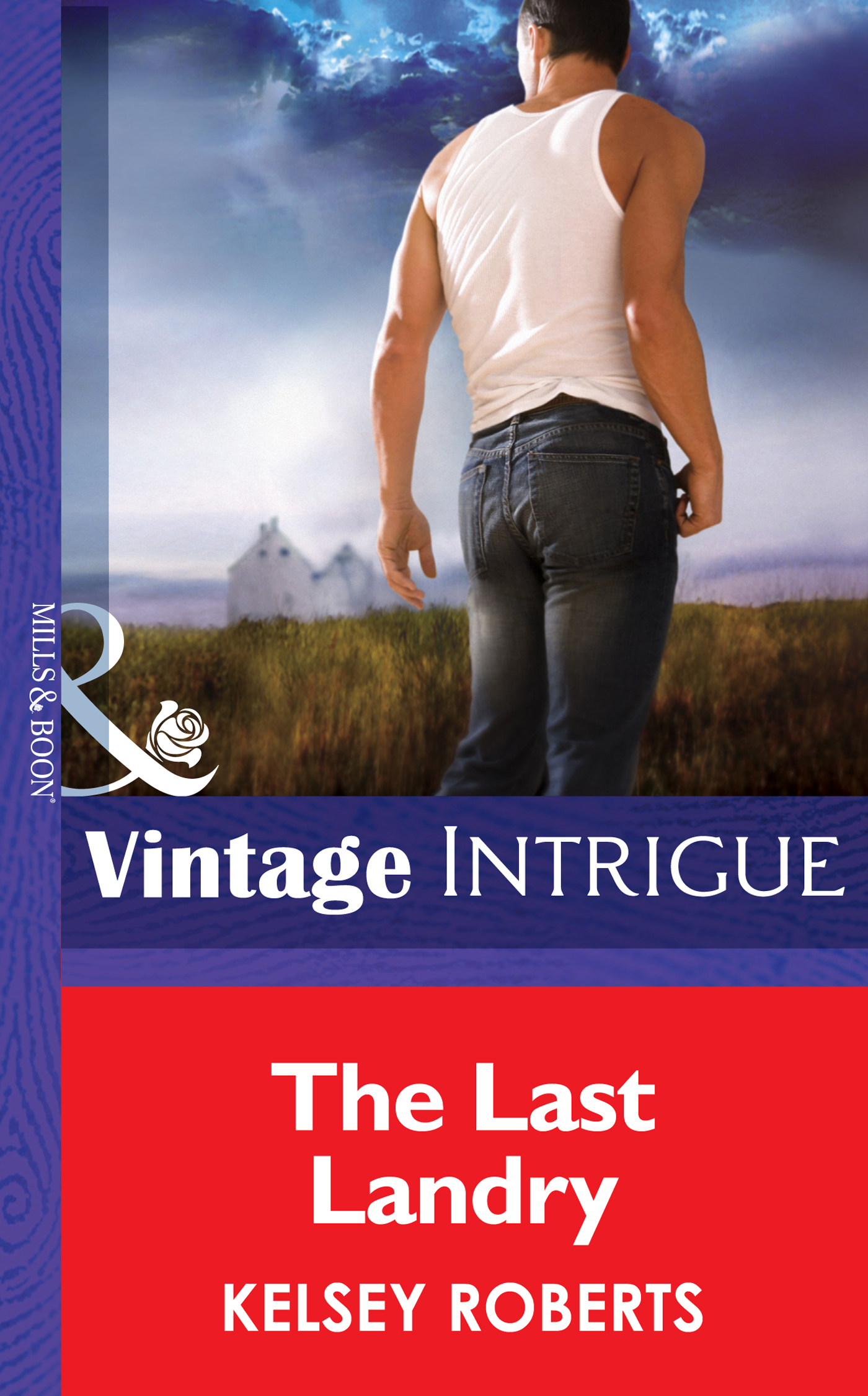 Обложка книги «The Last Landry»