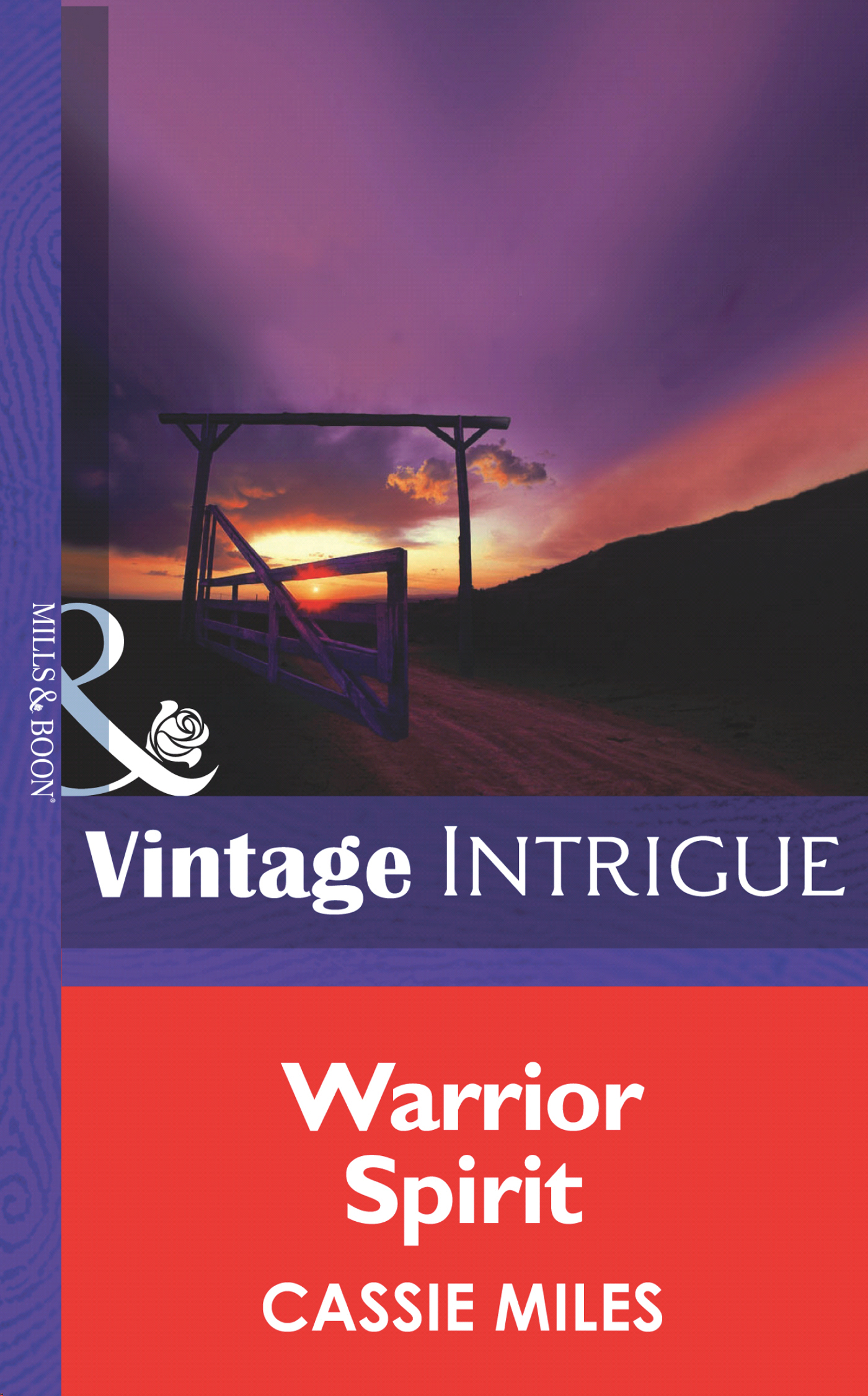 Обложка книги «Warrior Spirit»
