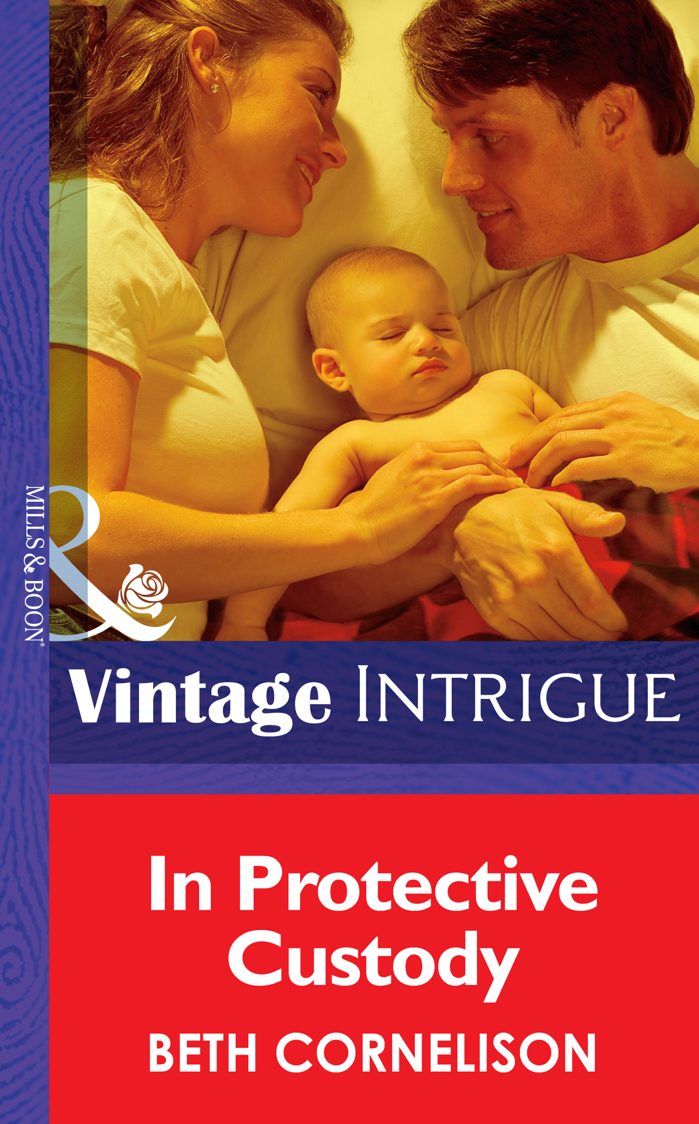 Обложка книги «In Protective Custody»