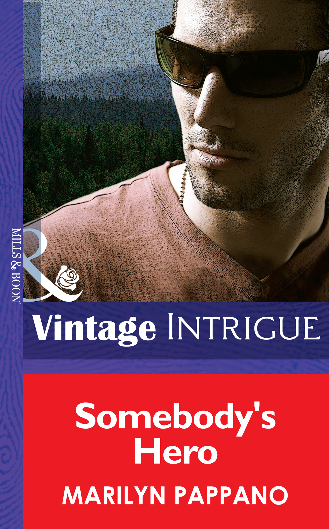 Обложка книги «Somebody's Hero»